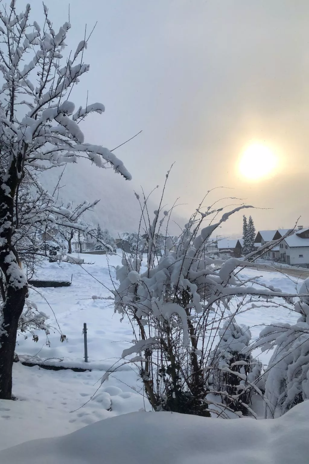 Montafoner Bauernhaus in Gortipohl-Buiten