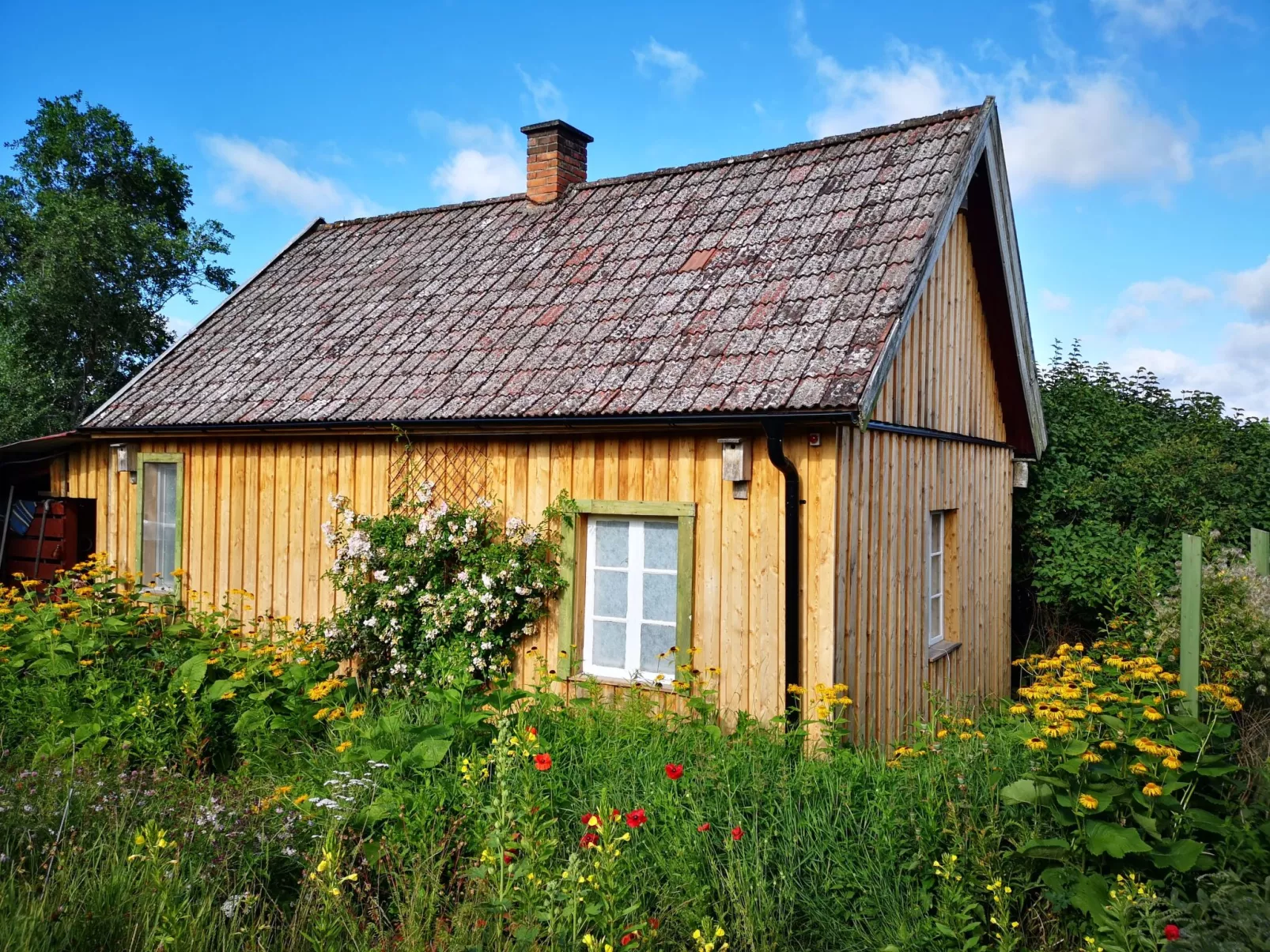 Niedliches Schwedenhaus.-Buiten