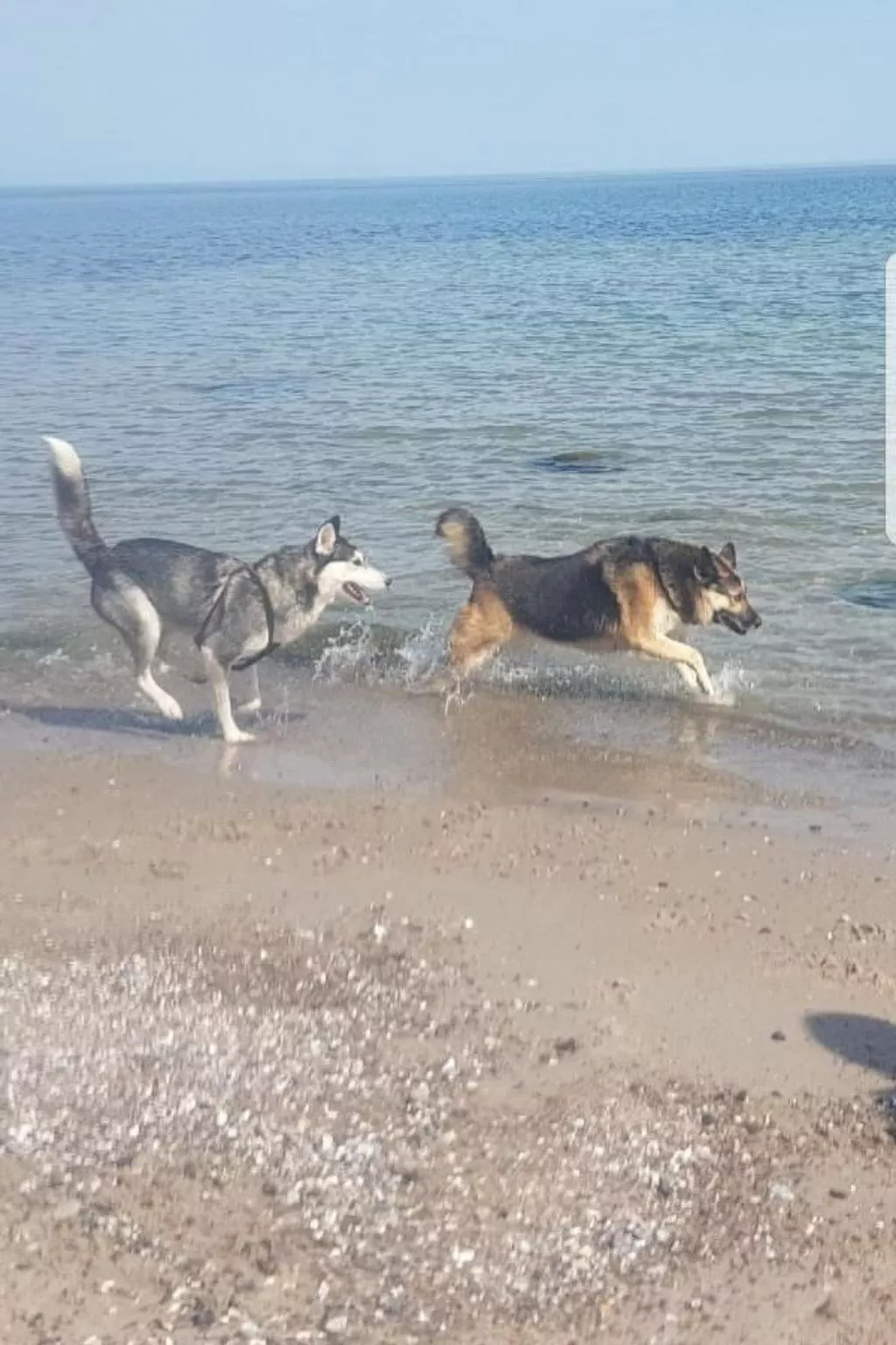 Es Trenc - Image-tags.info