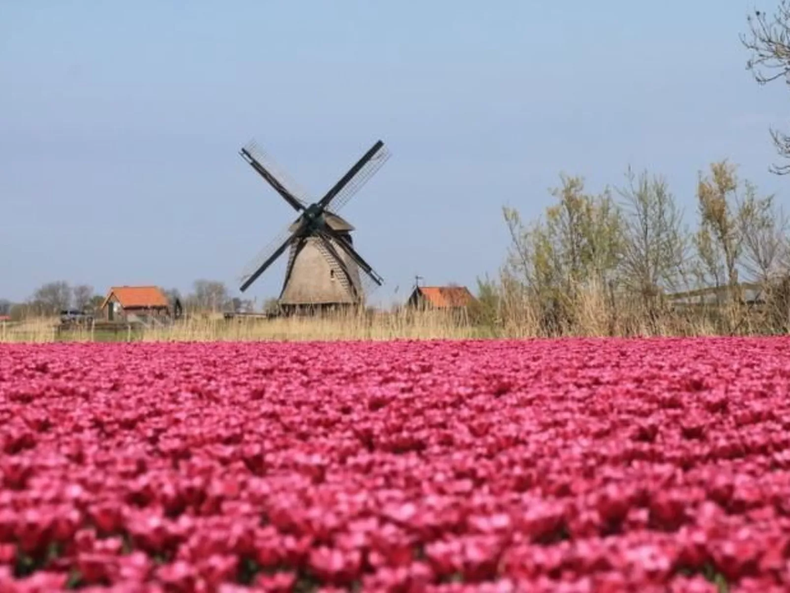"Windhoos" mit privatem Garten und Terrasse-Image-tags.info