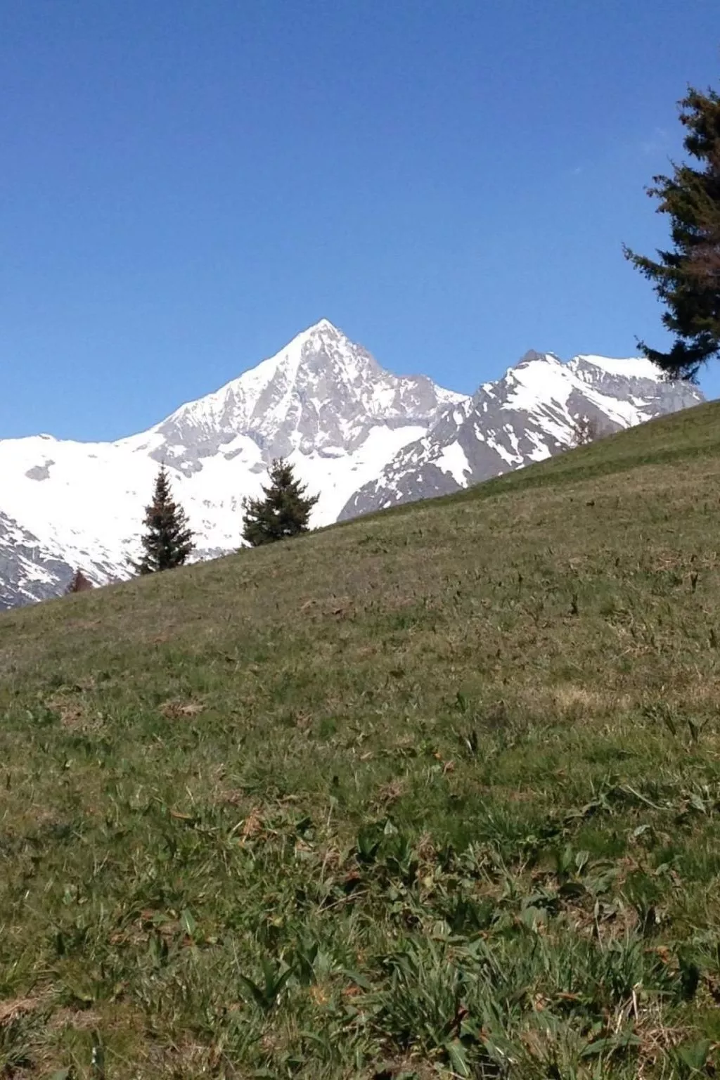 In Unterbäch-Buiten