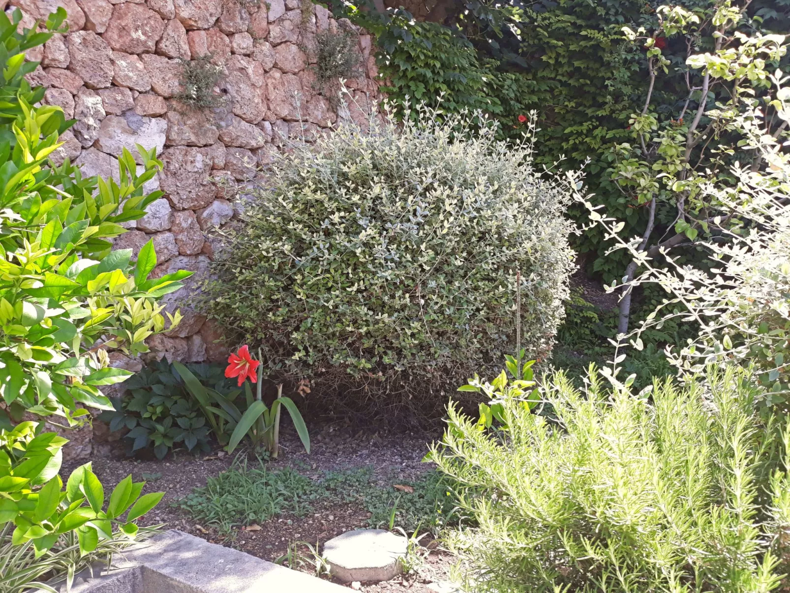 Haus am Wasser mit Blick aufs Wasser-Buiten
