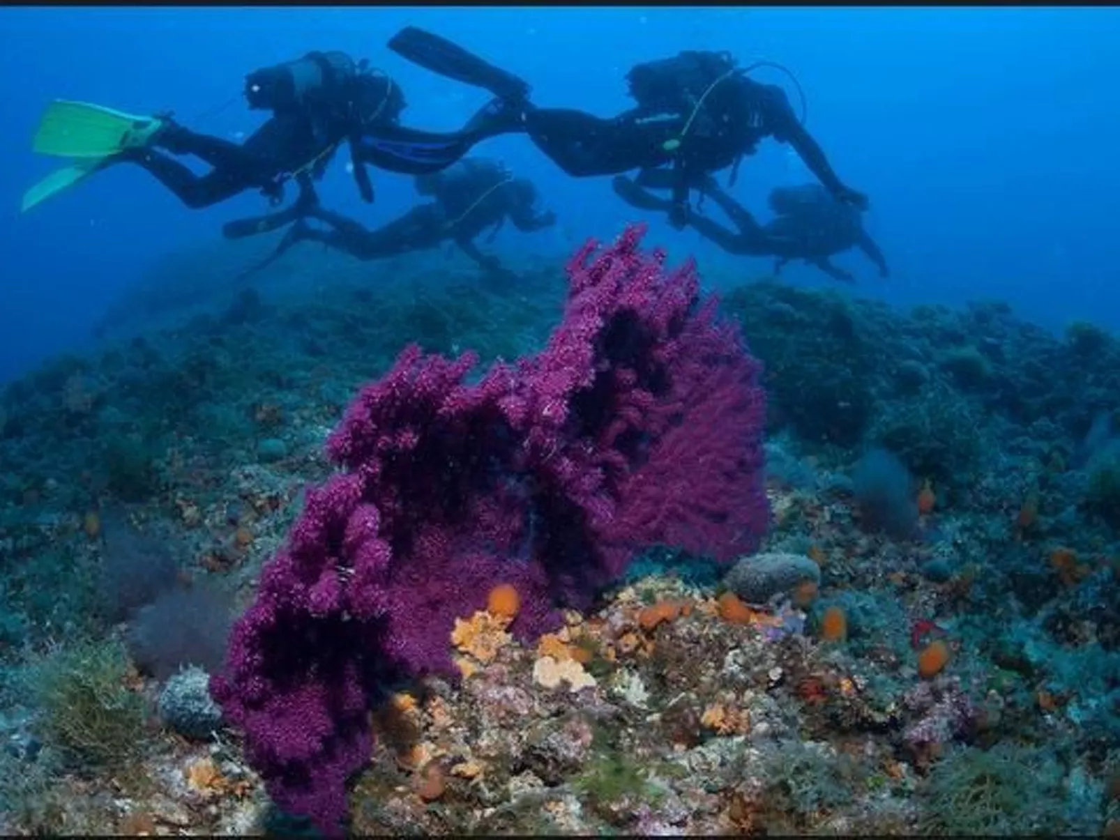 Wohnung mit herrlichem Meerblick-Image-tags.info