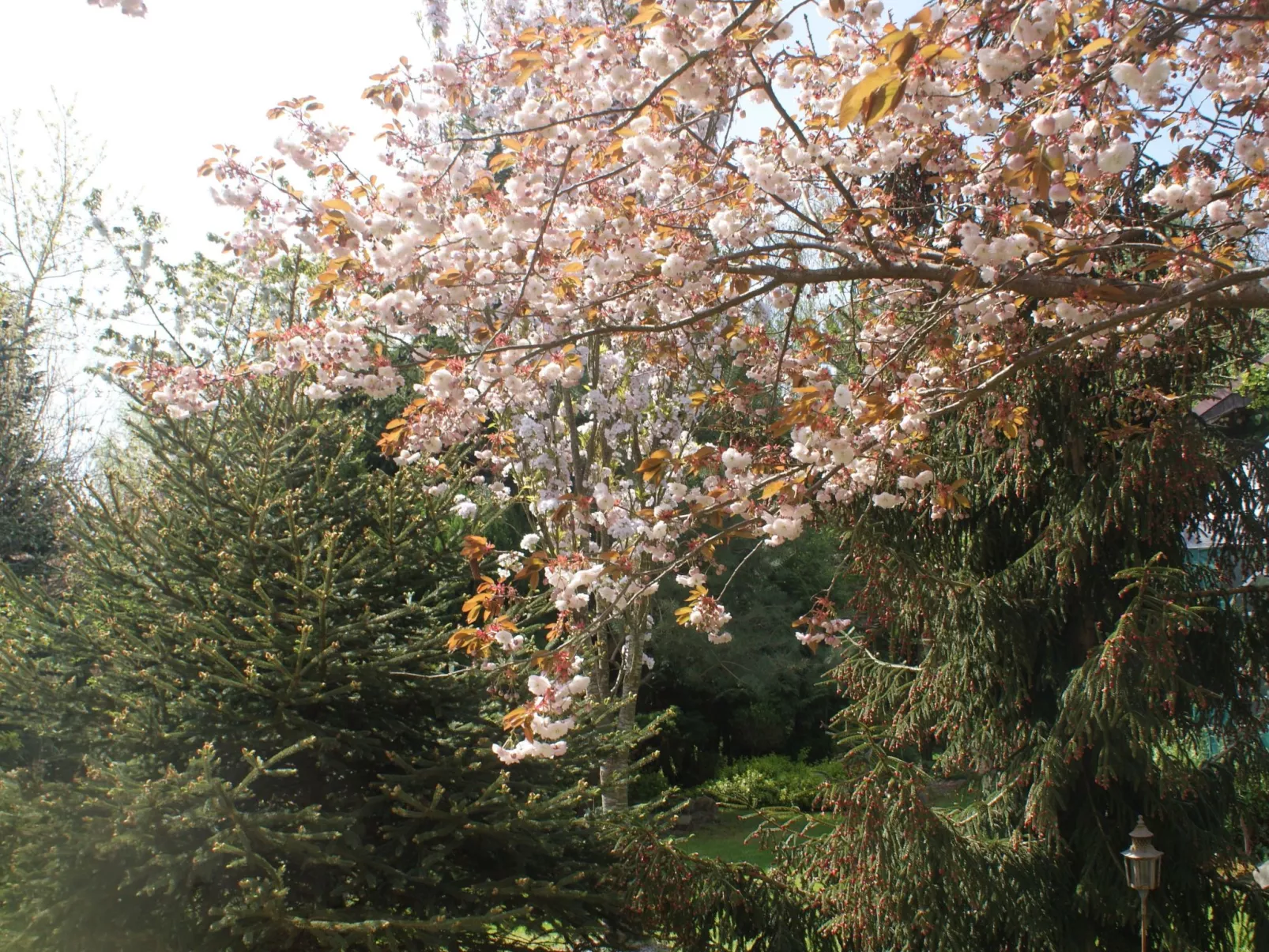 Ruhe am Meer - Ferienhäuser in den Gärten von Magra-Buiten