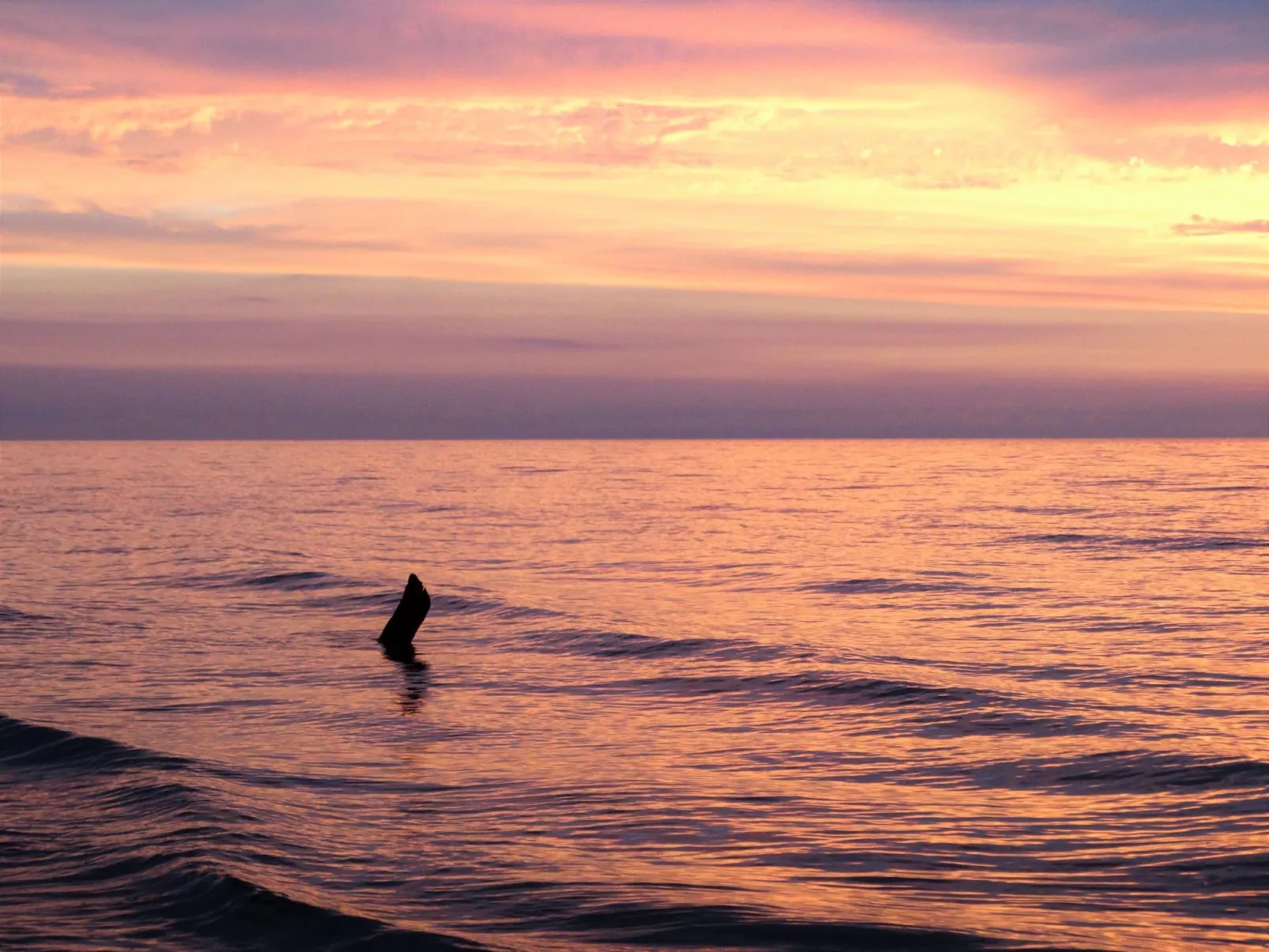 Holzferienhaus Grazyna-Buiten