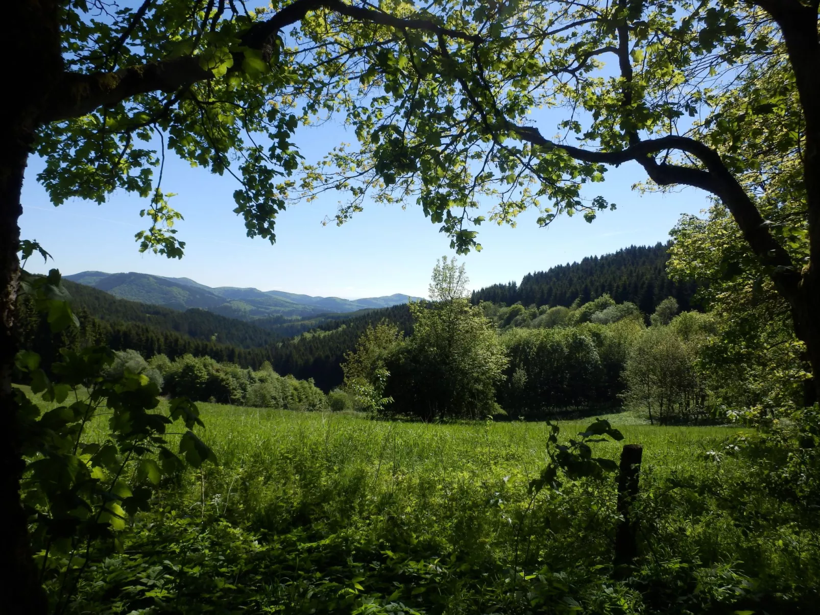 Mit privatem Balkon-Buiten