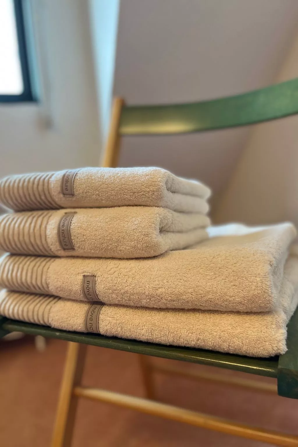 Gans in Ummanz-Lüßvitz-Binnen