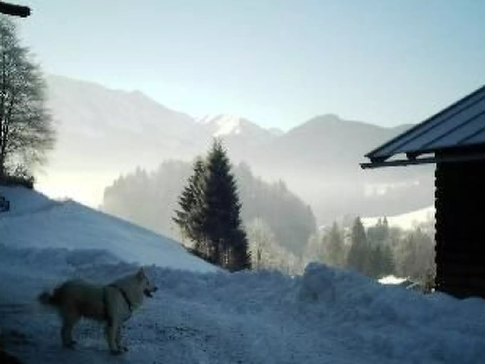 Falkenberg Wh 211-Buiten