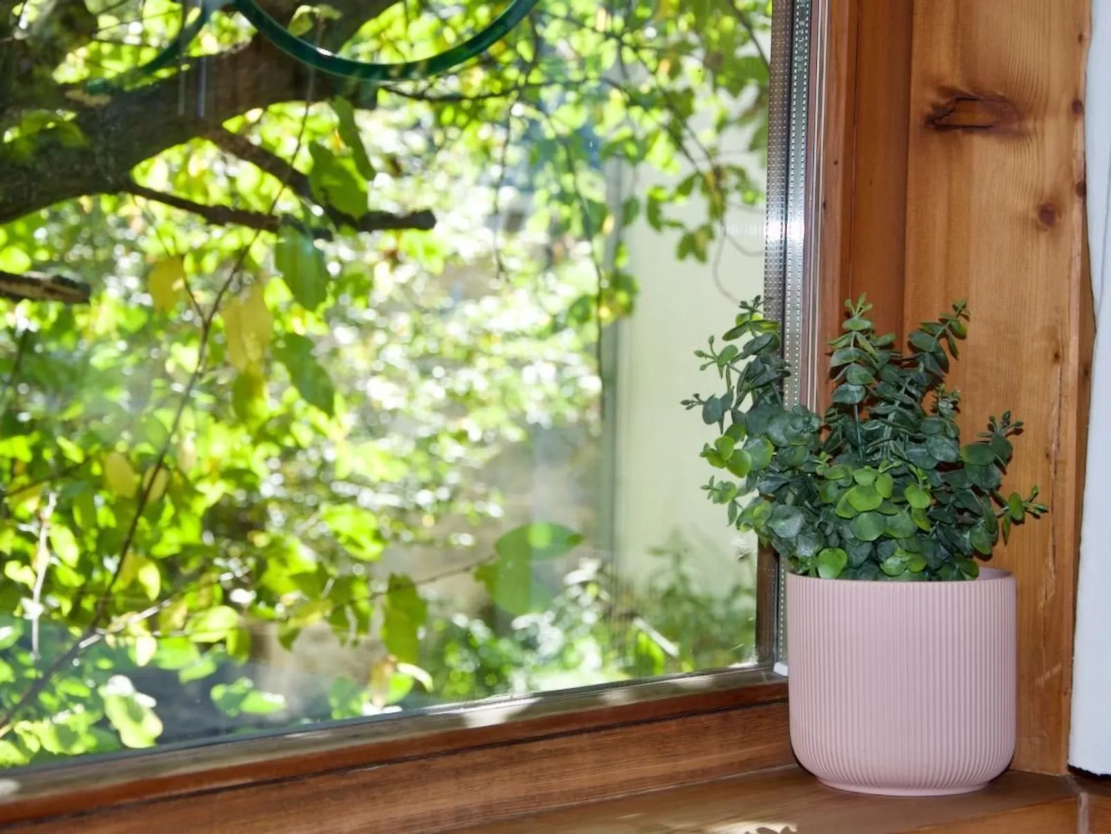 The Green Room-Binnen