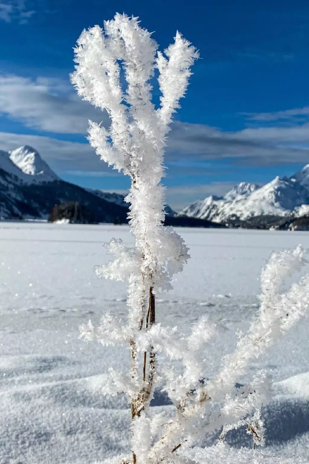 Maisonette Alpenrose-Buiten