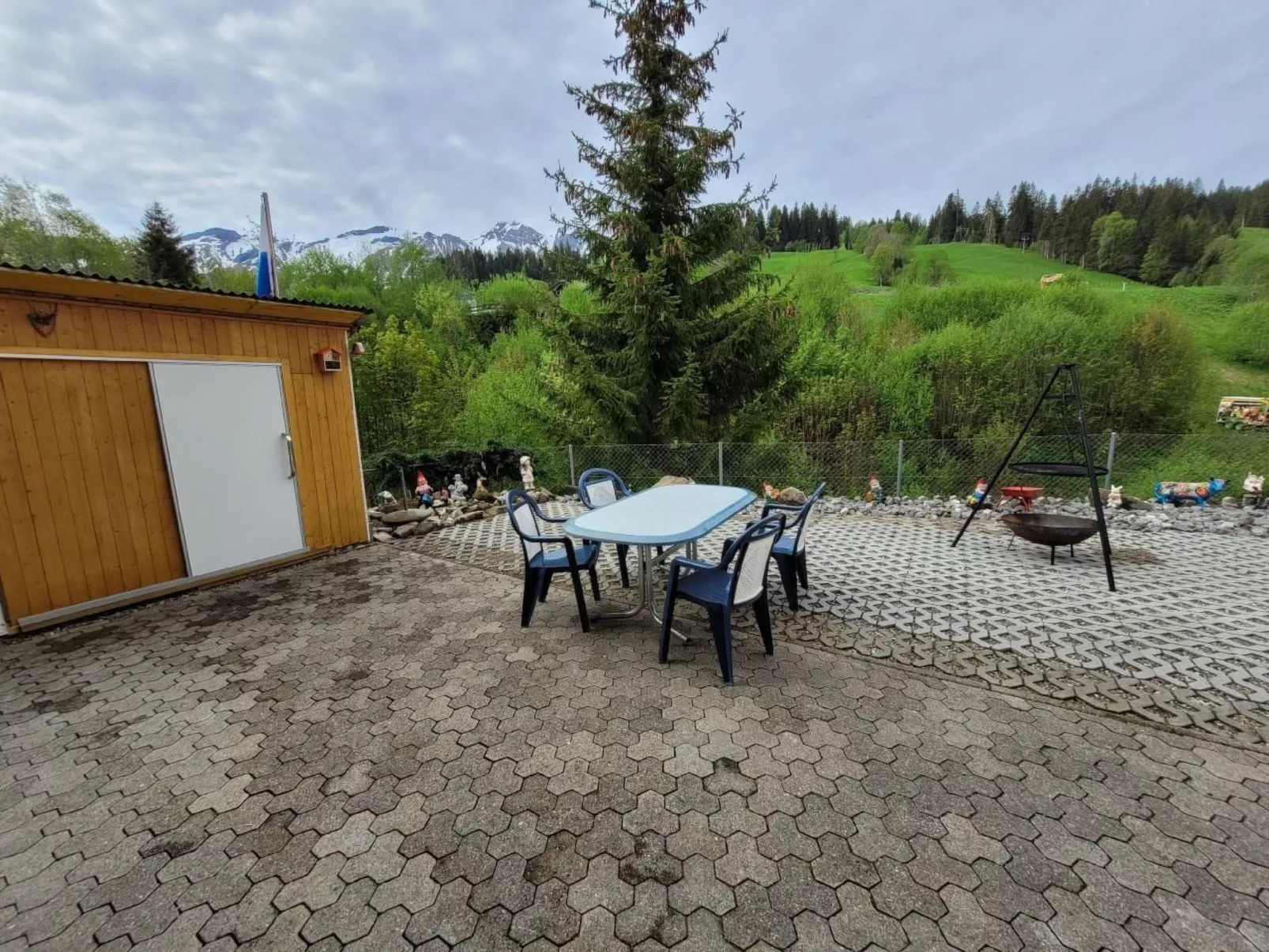 Kolibri Parterre-Image-tags.info