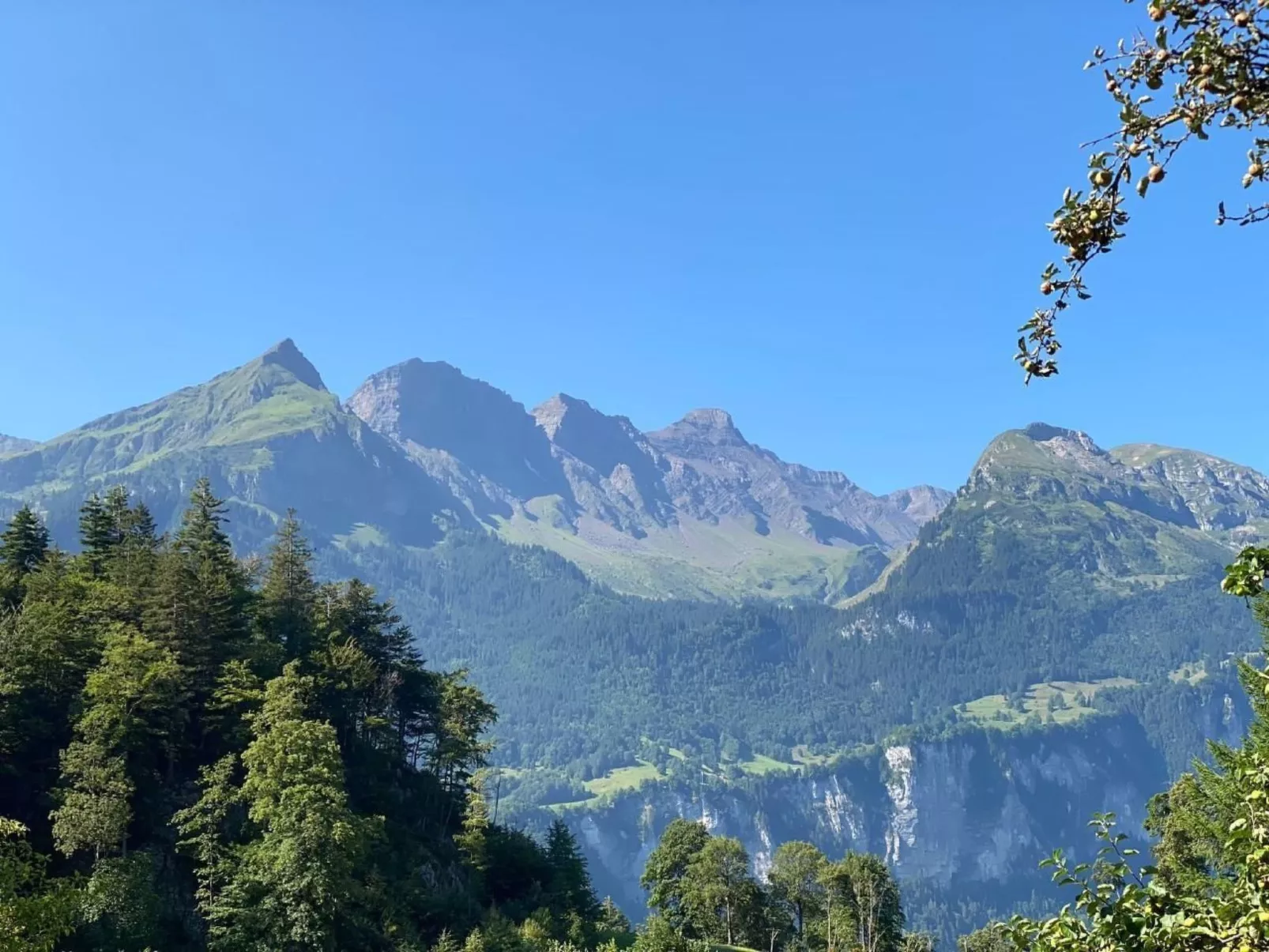 Chalet Brünig, Apartment Wandelhorn-Buiten