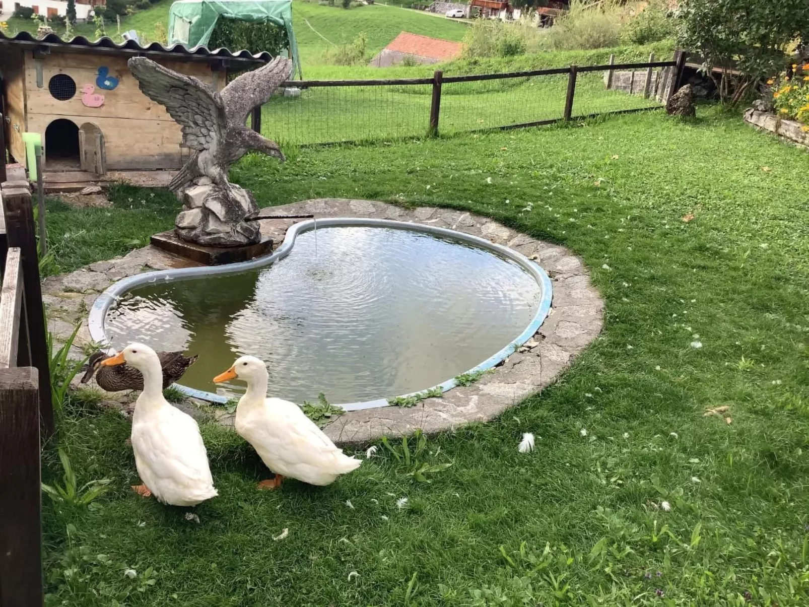 Chalet Bergfrieden-Buiten