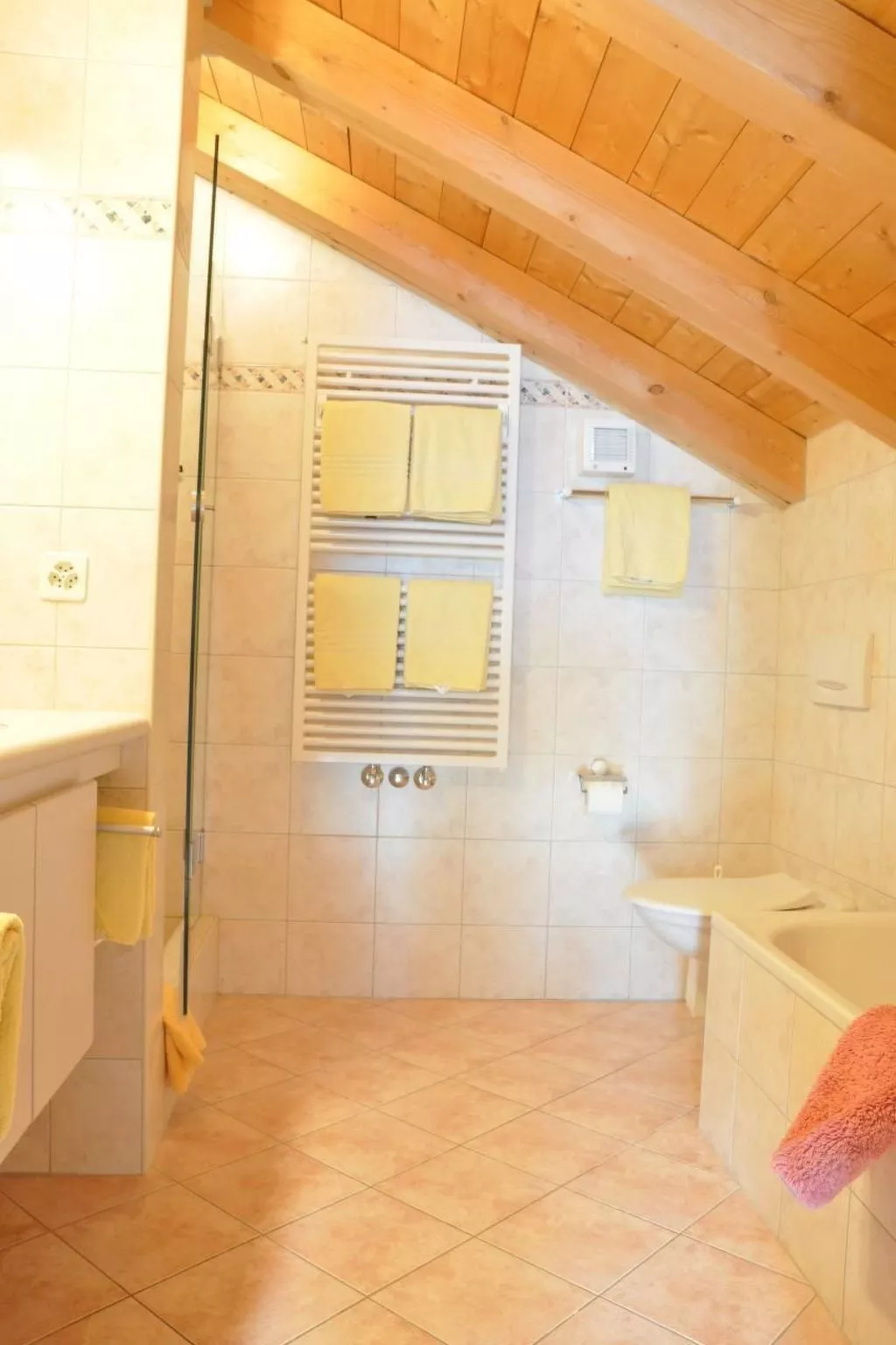 Chesa Sunasain V11-Binnen