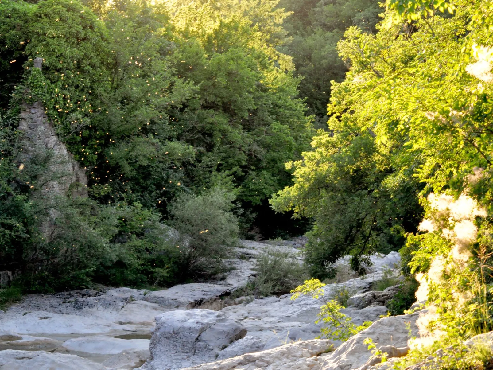 Istrien Traditionelles Steinhaus 7-Buiten