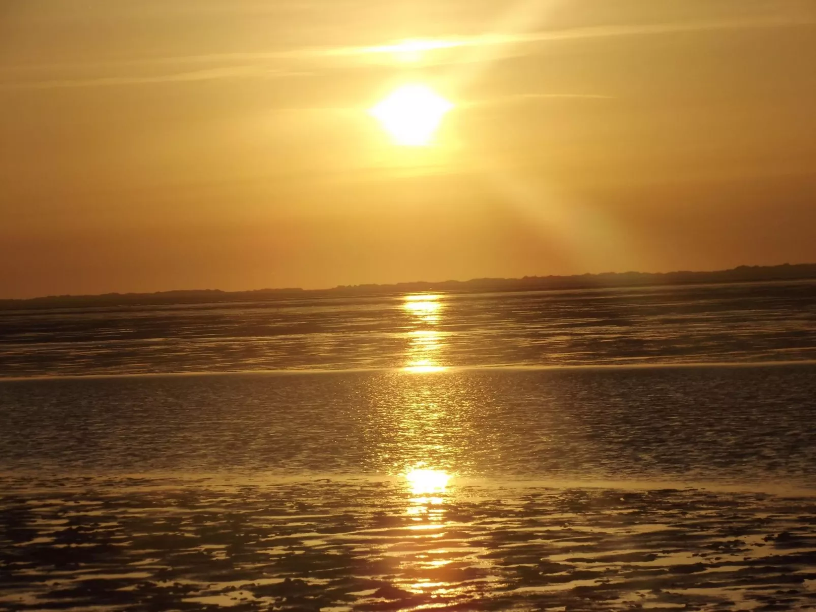 Mit Garten und Terrasse-Image-tags.info