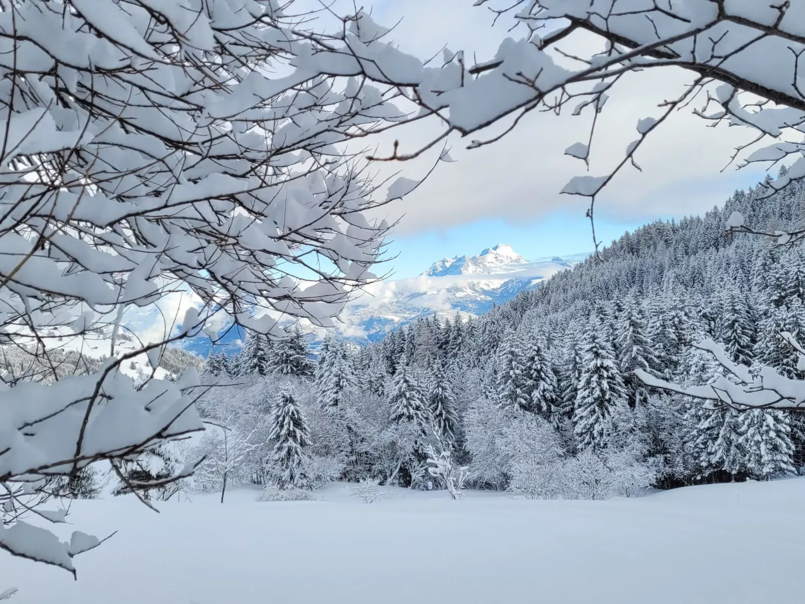 Chalet "Ecureuil" in den Portes du Soleil im Wallis-Buiten