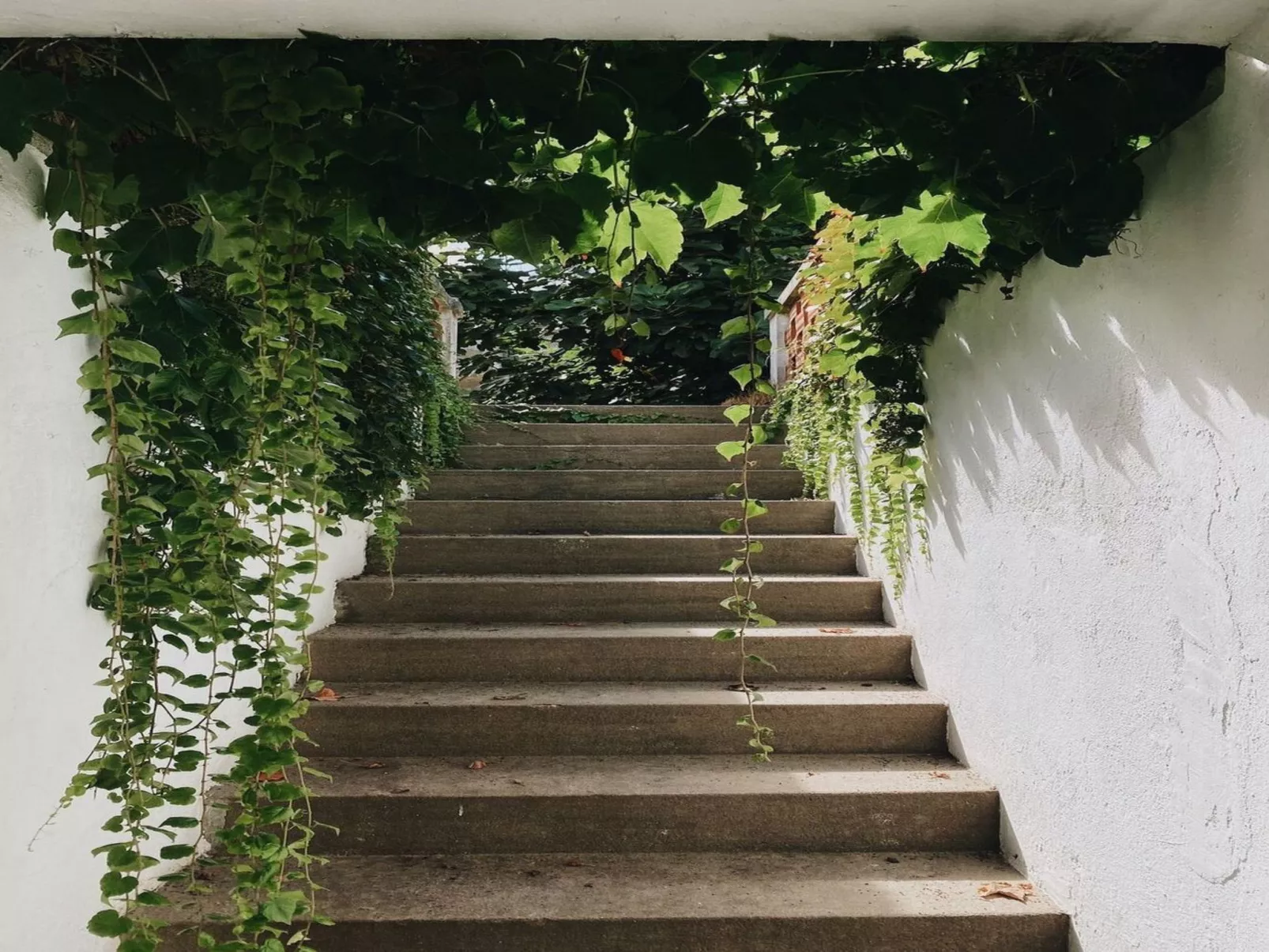 Großmutters Scheune-Buiten