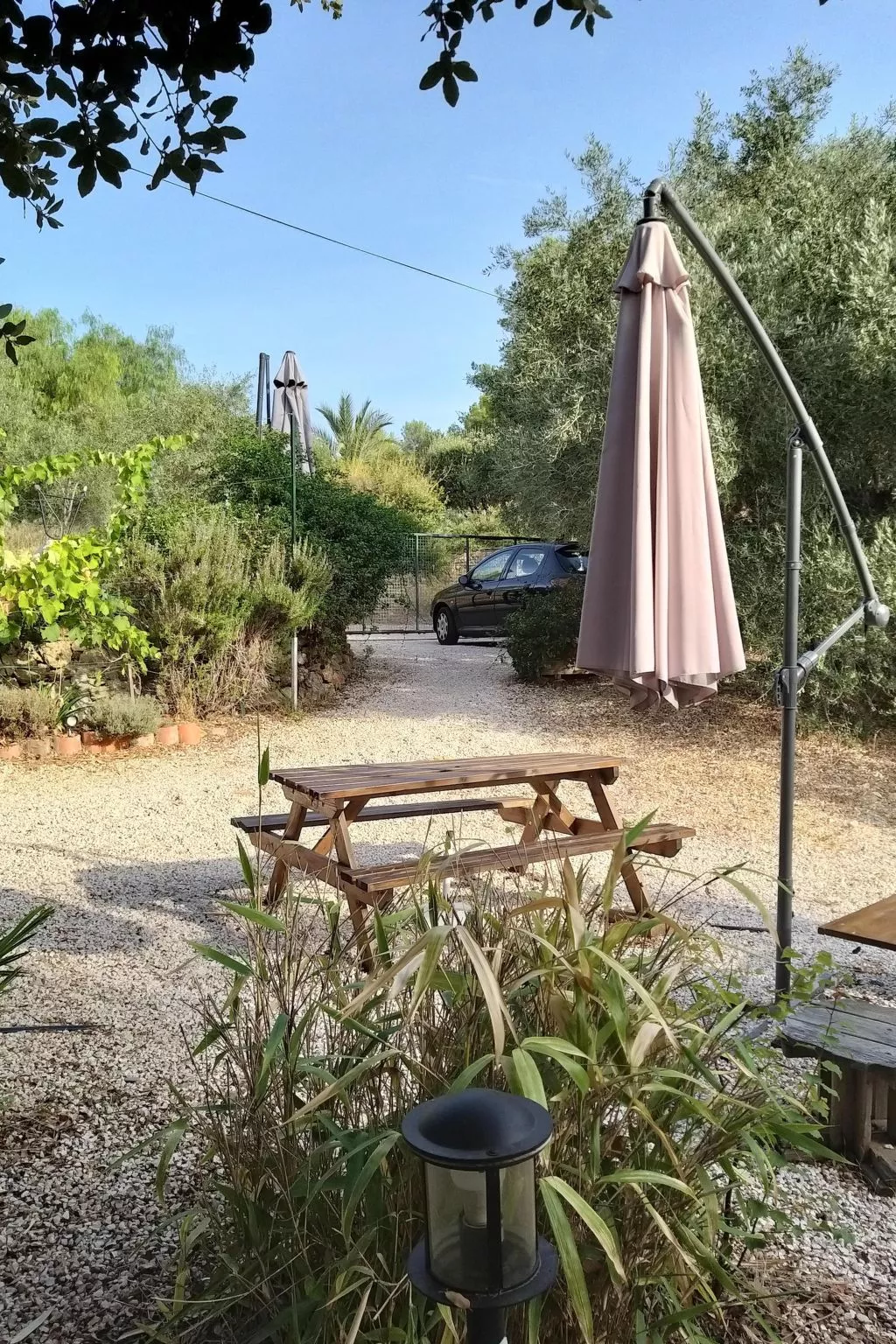 Mit Terrasse, mitten in der Natur-Buiten