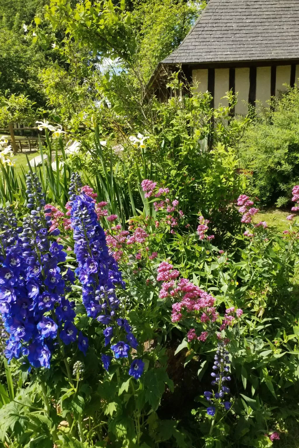 Charmante normannische Ferienwohnung Les chataigniers 2 Zimmer-Buiten