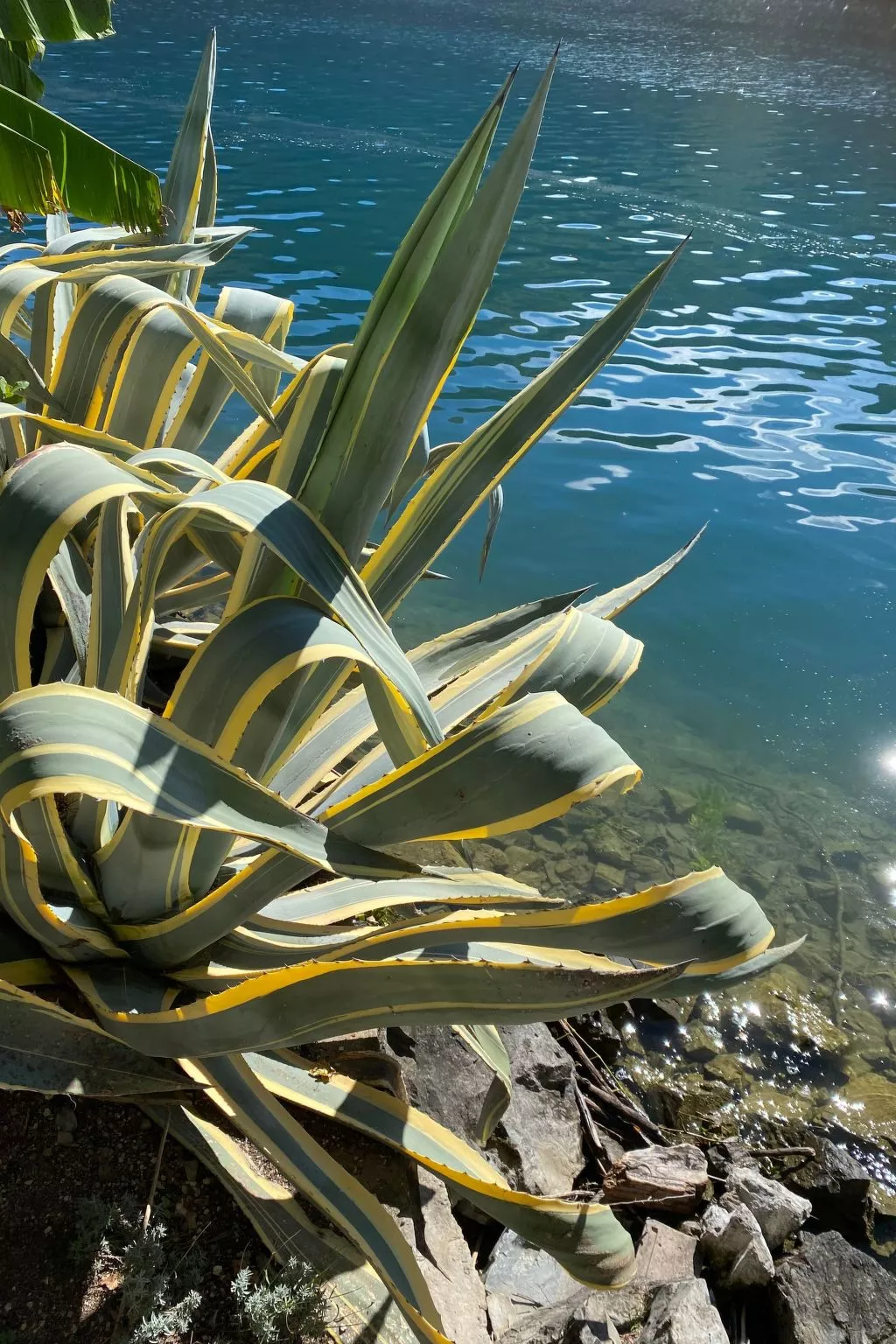 Gartenwohnung im Tessin mit Swimmingpool-Buiten