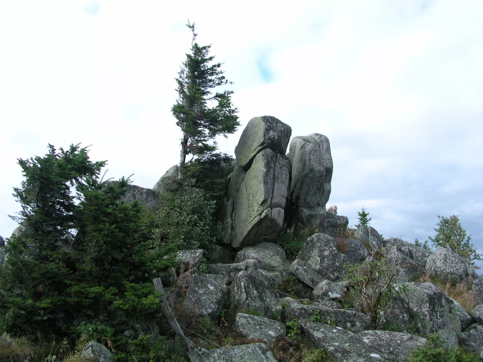 Zwischen Elsass und Vogesen, gite in einem schönen Chalet.-Buiten