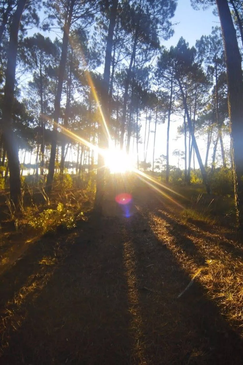 Villa contis-Plage 900m vom Ozean entfernt-Buiten