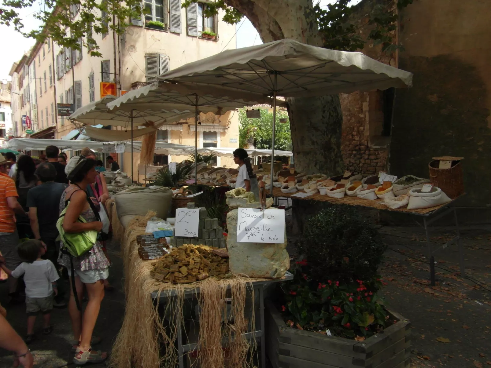 Le mas de l'Aven Unterkunft le mûrier-Buiten