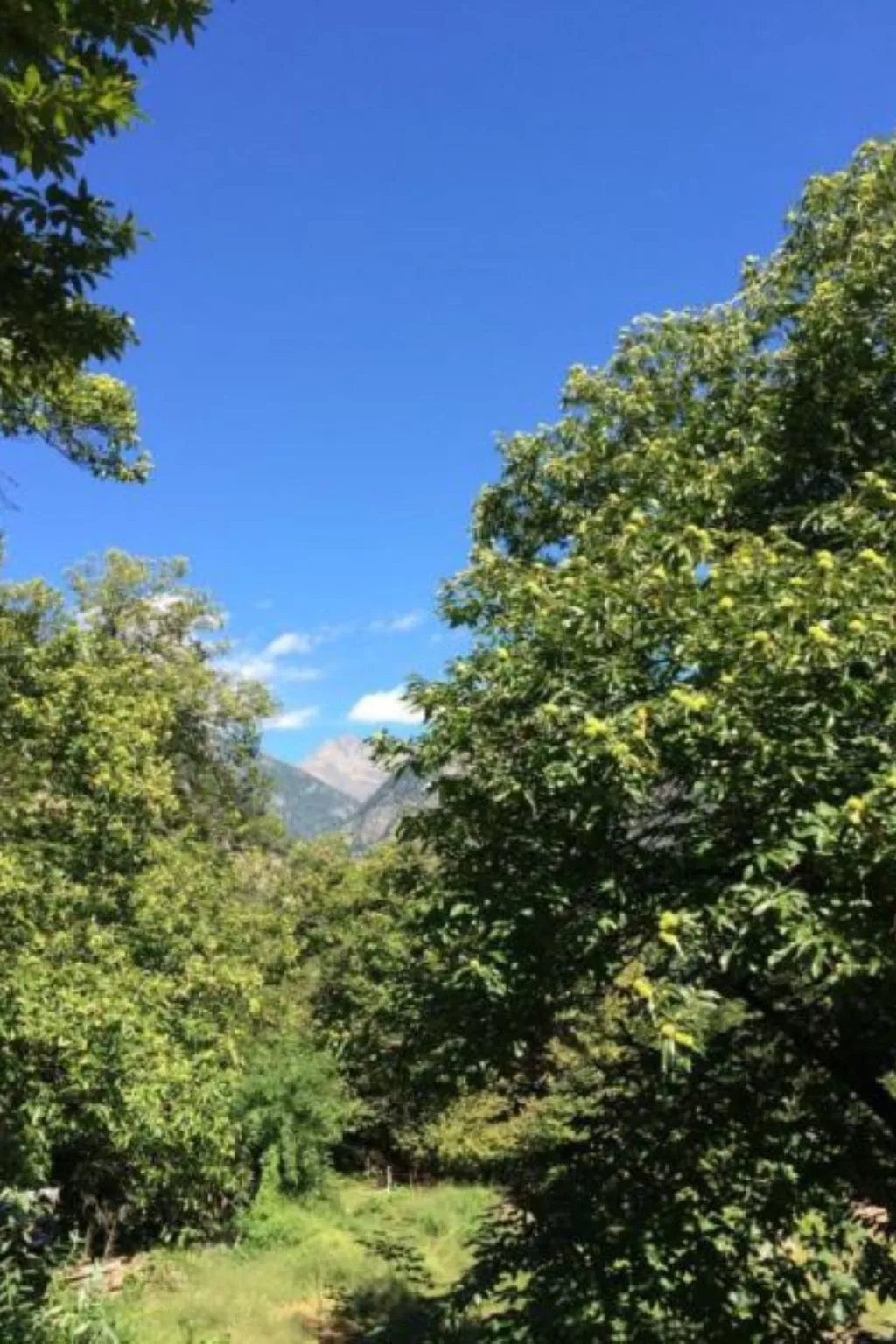 Weg von der Zuvielisation-Image-tags.info