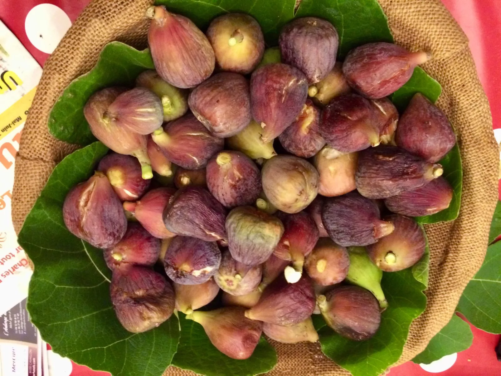 "Eutherpes Haus"-Binnen