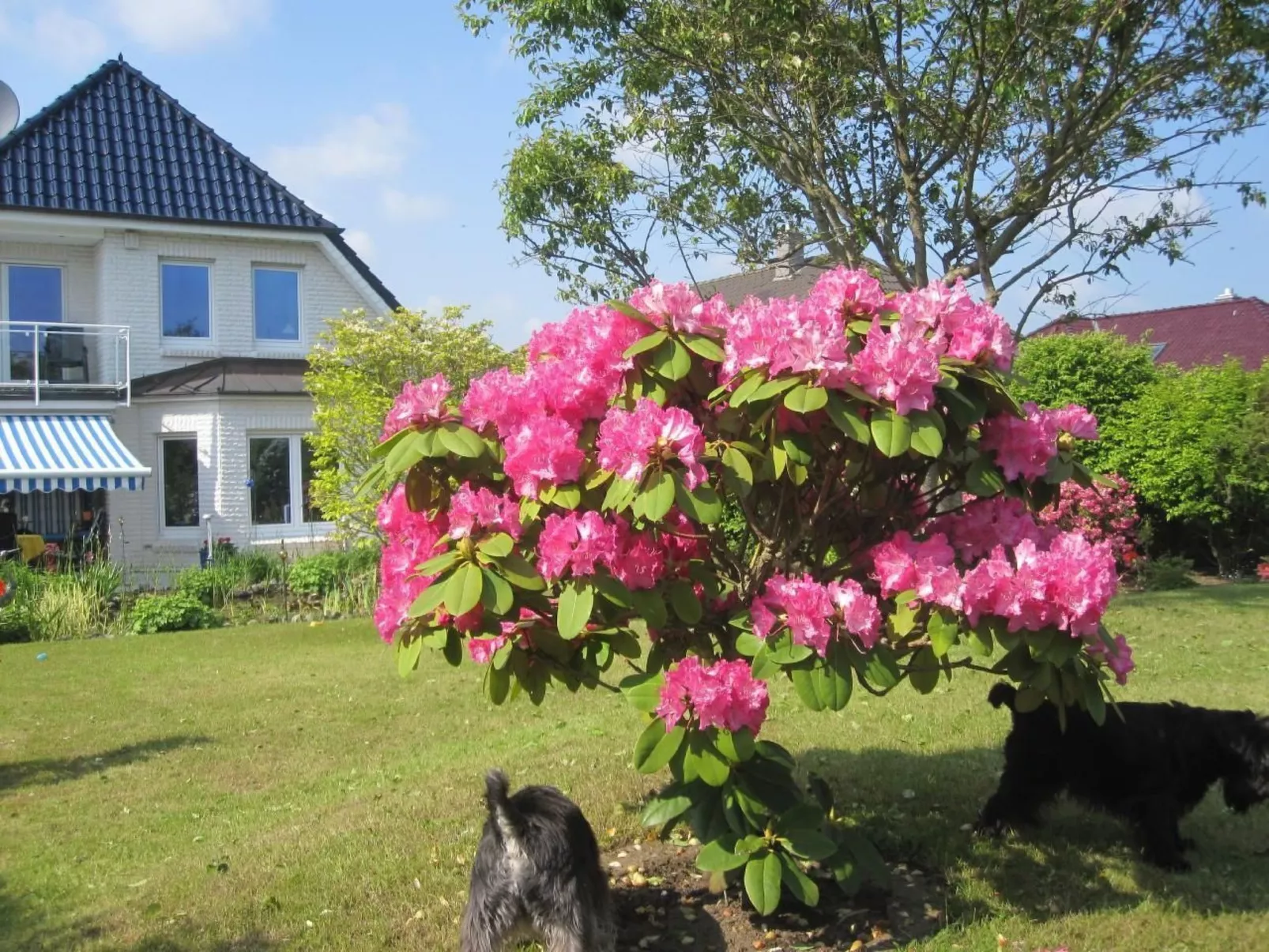 Landhaus am See-Buiten