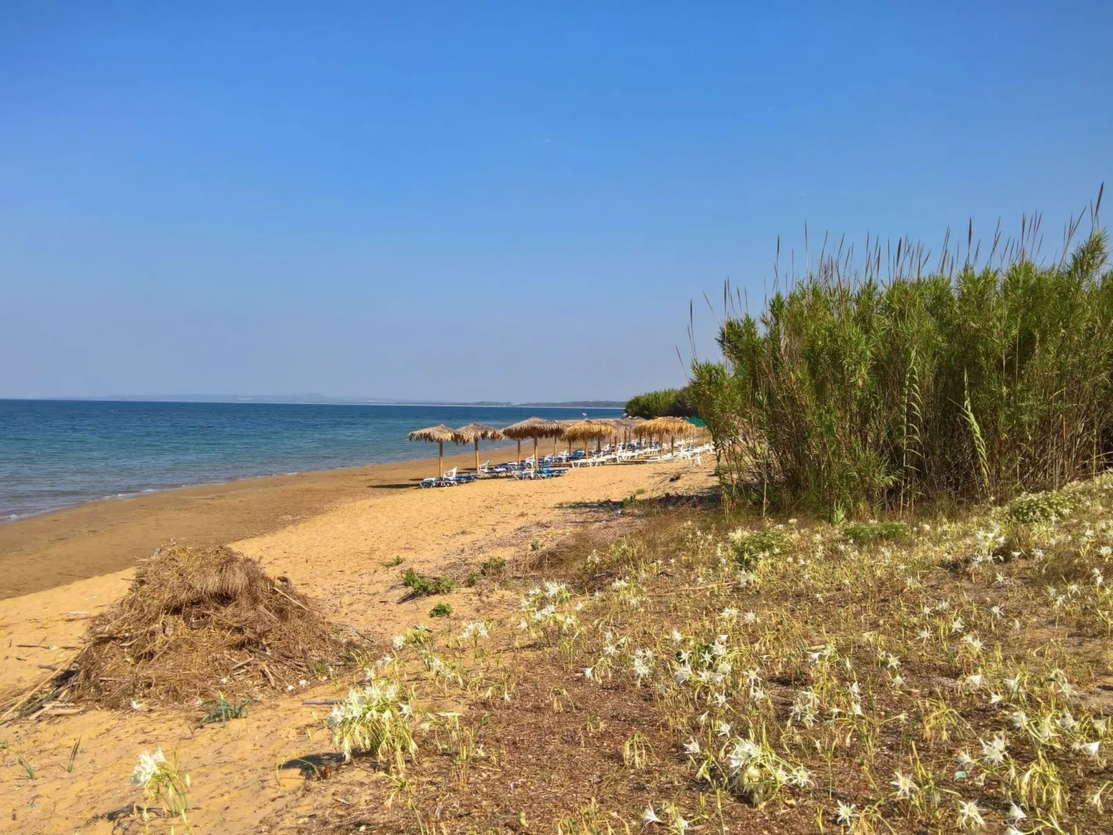 White Villas BV-Buiten