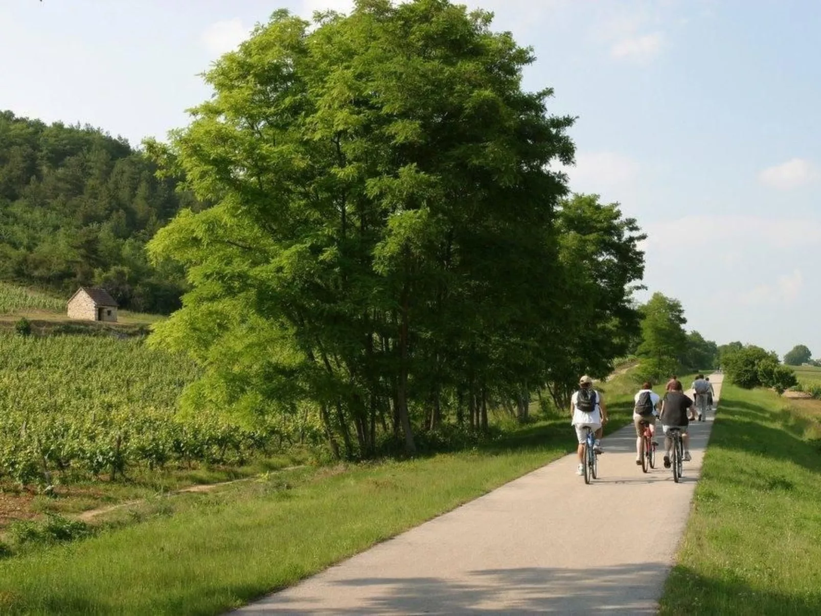 Le gite du randonneur (Das Ferienhaus des Wanderers)-Buiten