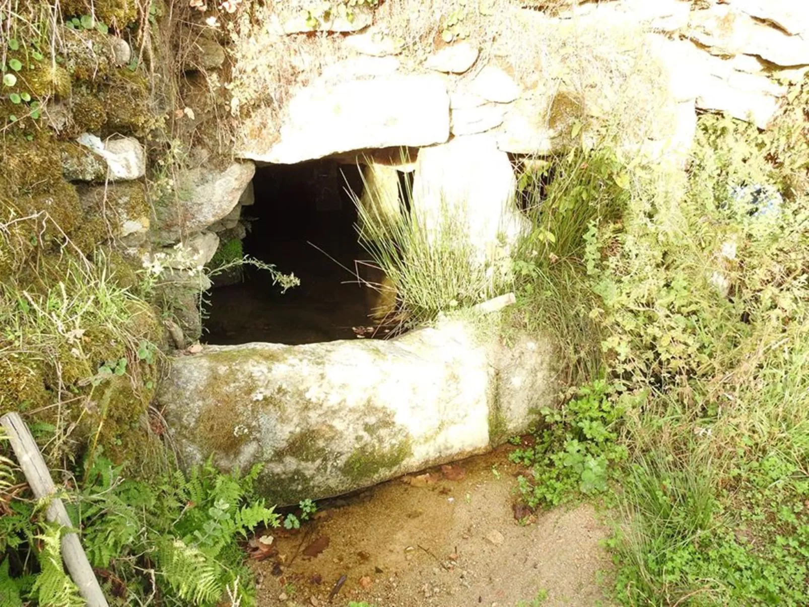 Ferien auf dem Bauernhof mit Weinberg-Buiten