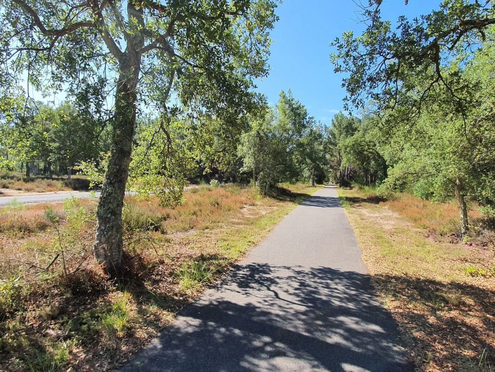 Villa Cocoon Contis-plage 1 chambre-Buiten