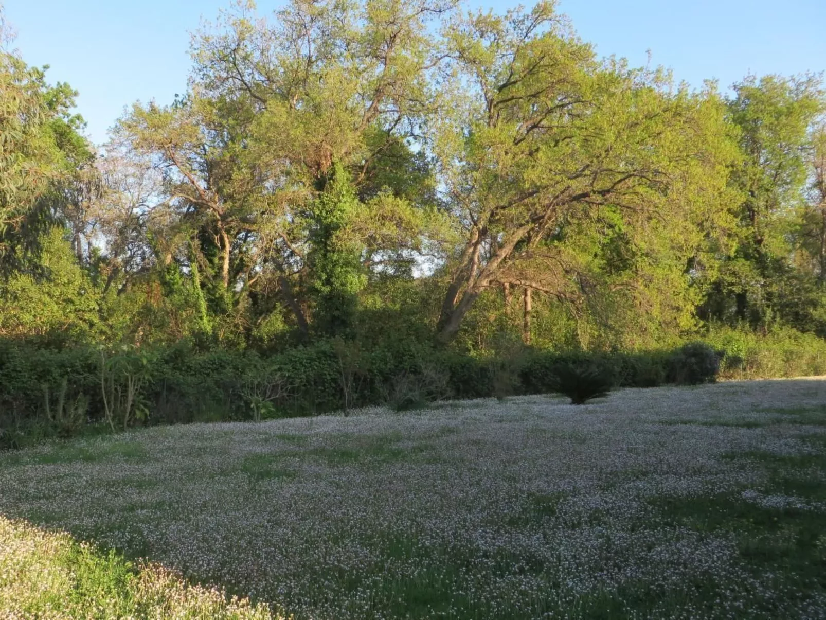 Résidence Amanda-Buiten