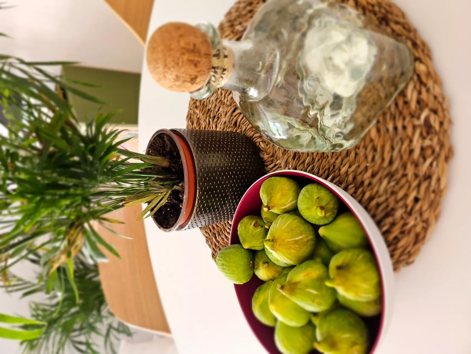 Mimos Robinsonhaus-Binnen