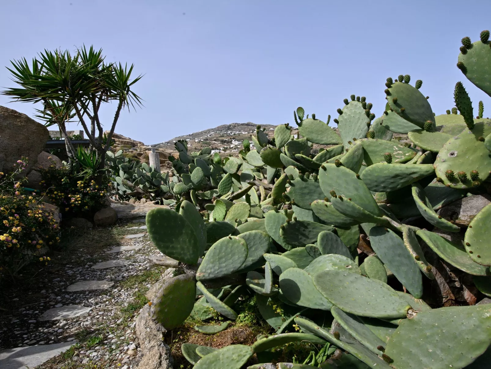 "Paraga Villa 2" mit Whirlpool-Buiten