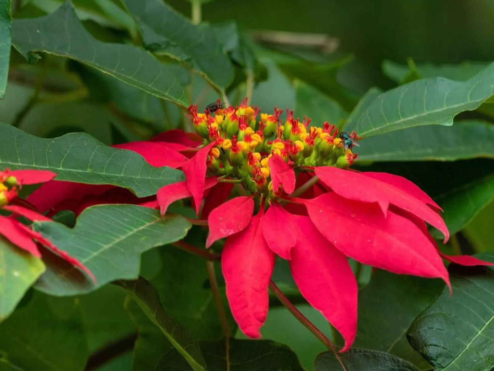 Das Haus der Patin 2-Buiten