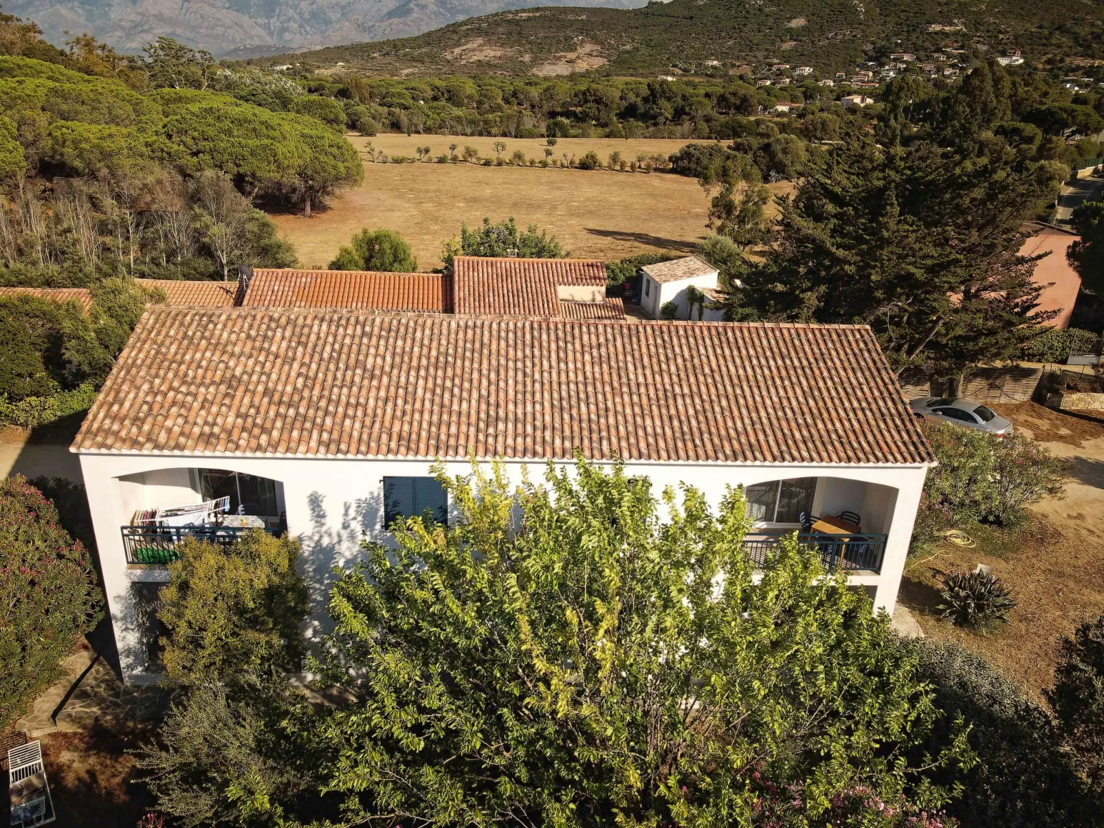 Scopa - Les Muriers-Buiten