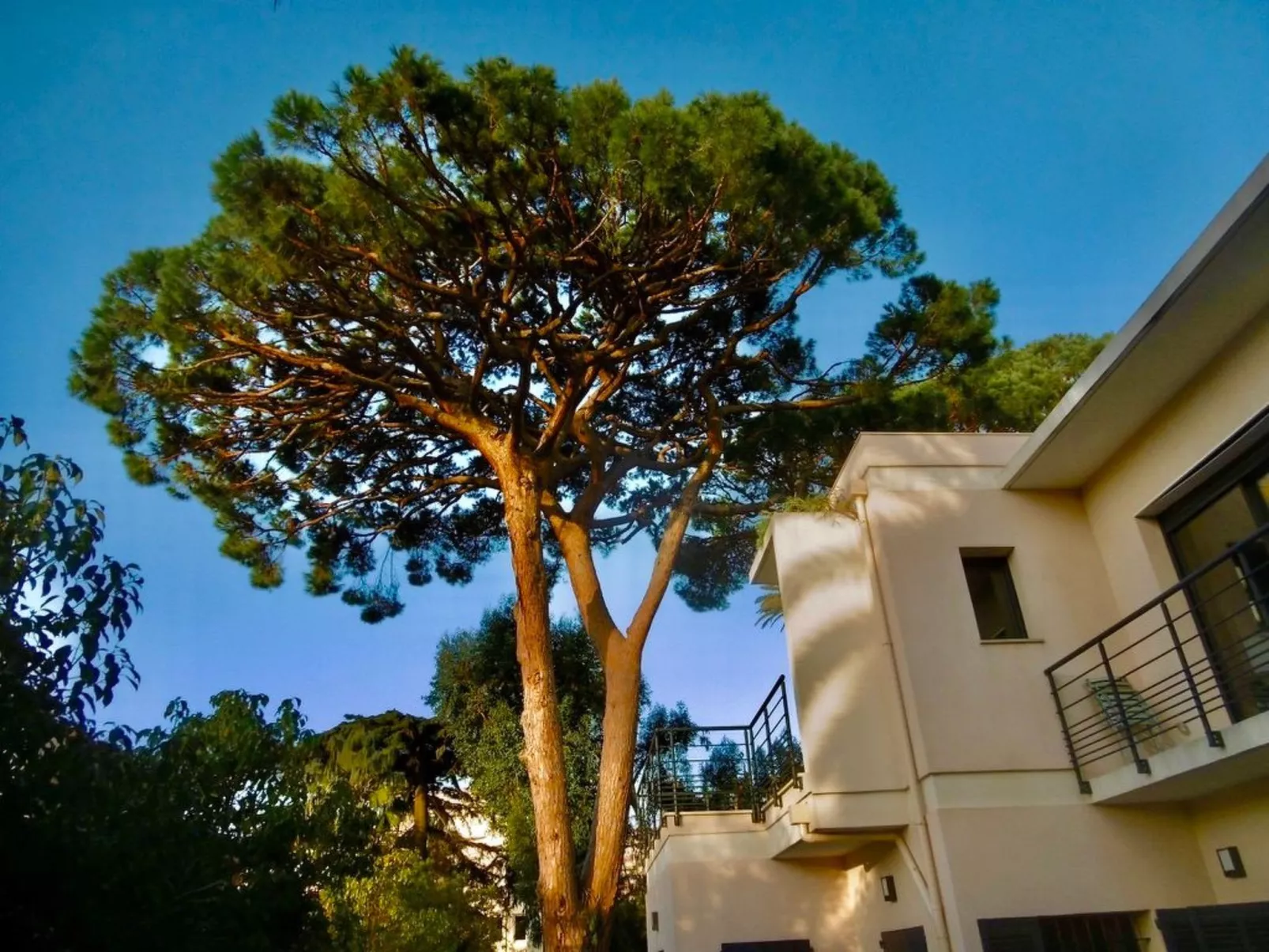 Villa Mascotte-Buiten