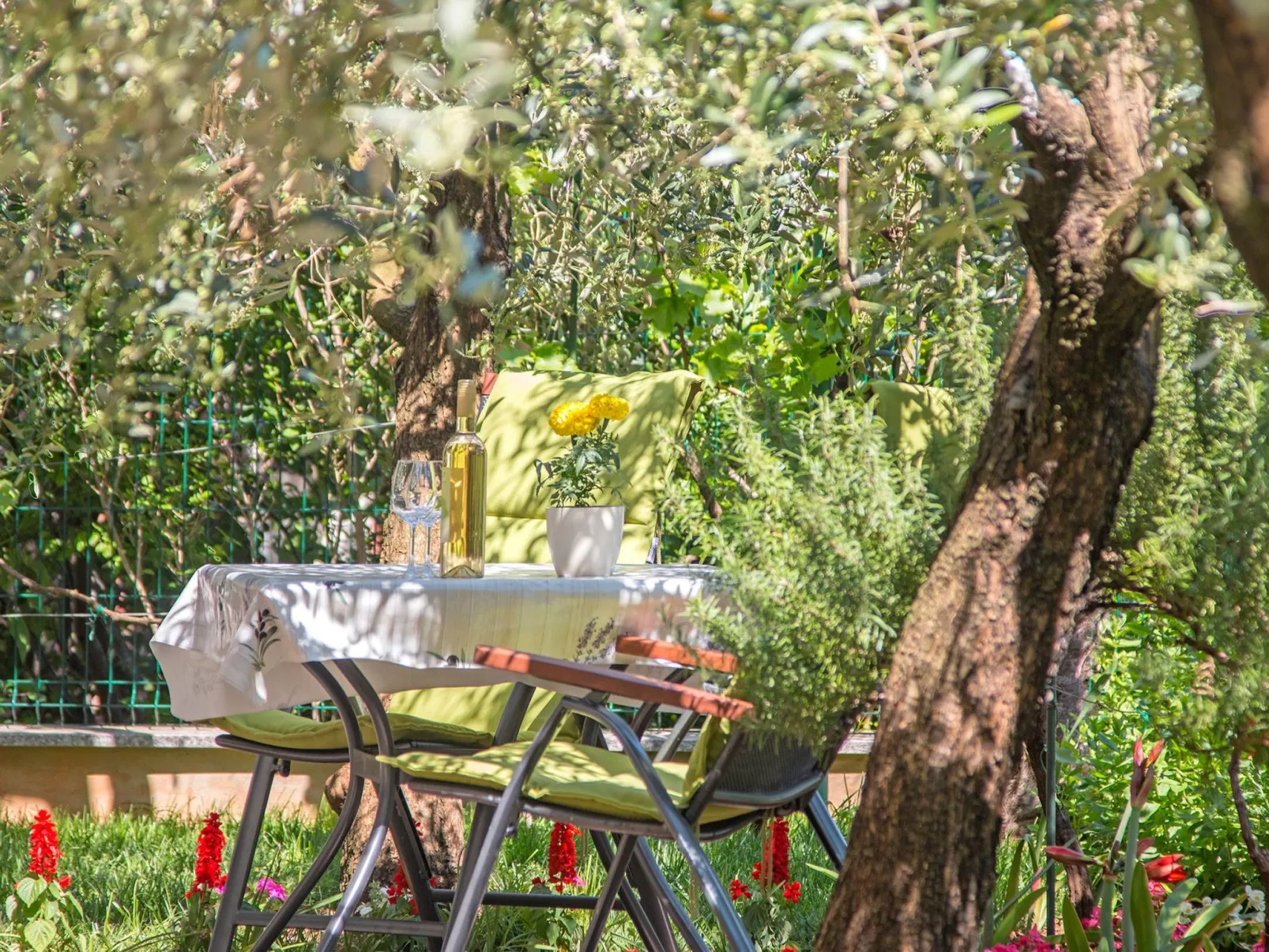 Studio Oliva ****-Image-tags.info