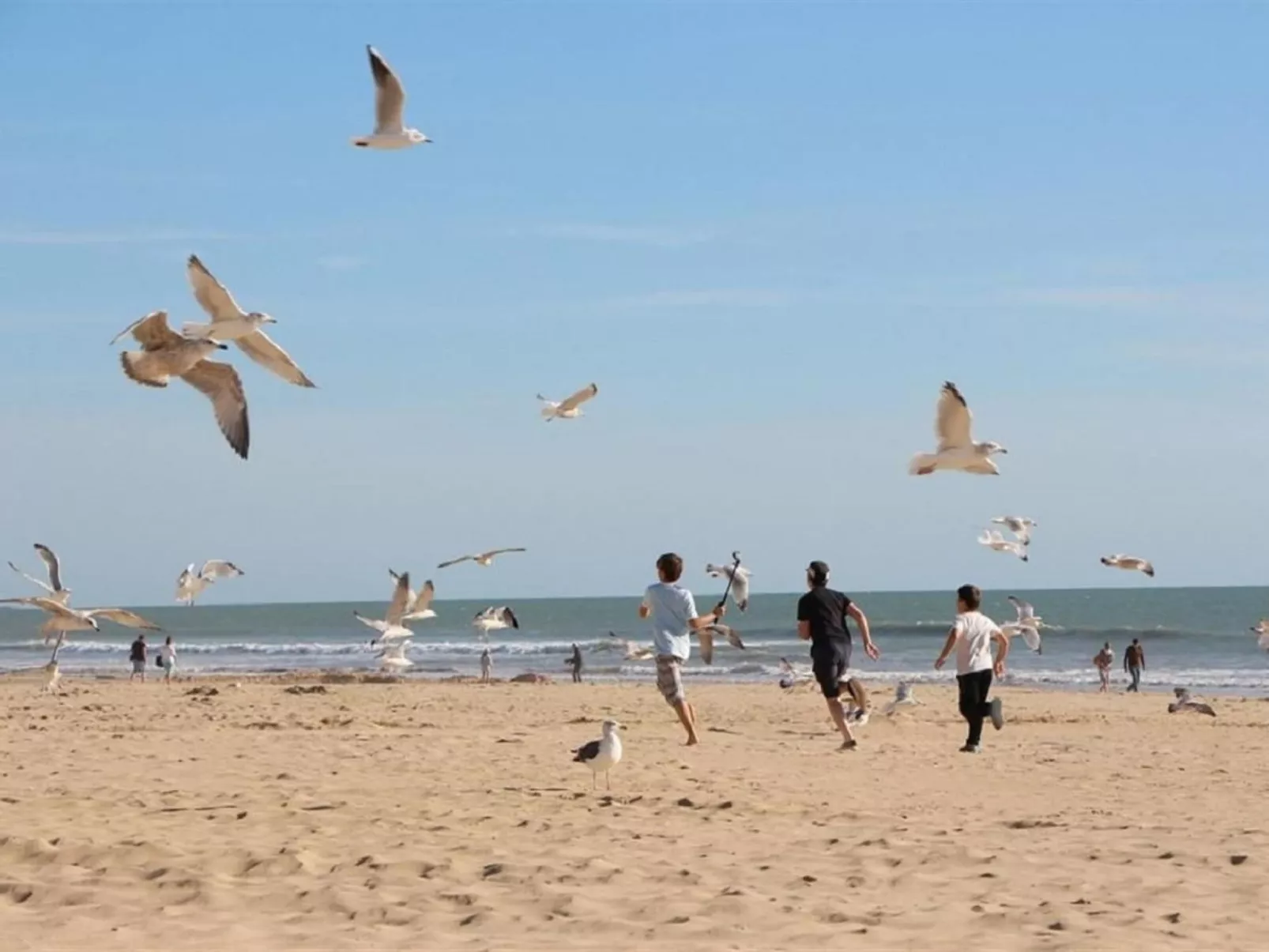 Standort mobiles Haus 3 chambres-Buiten