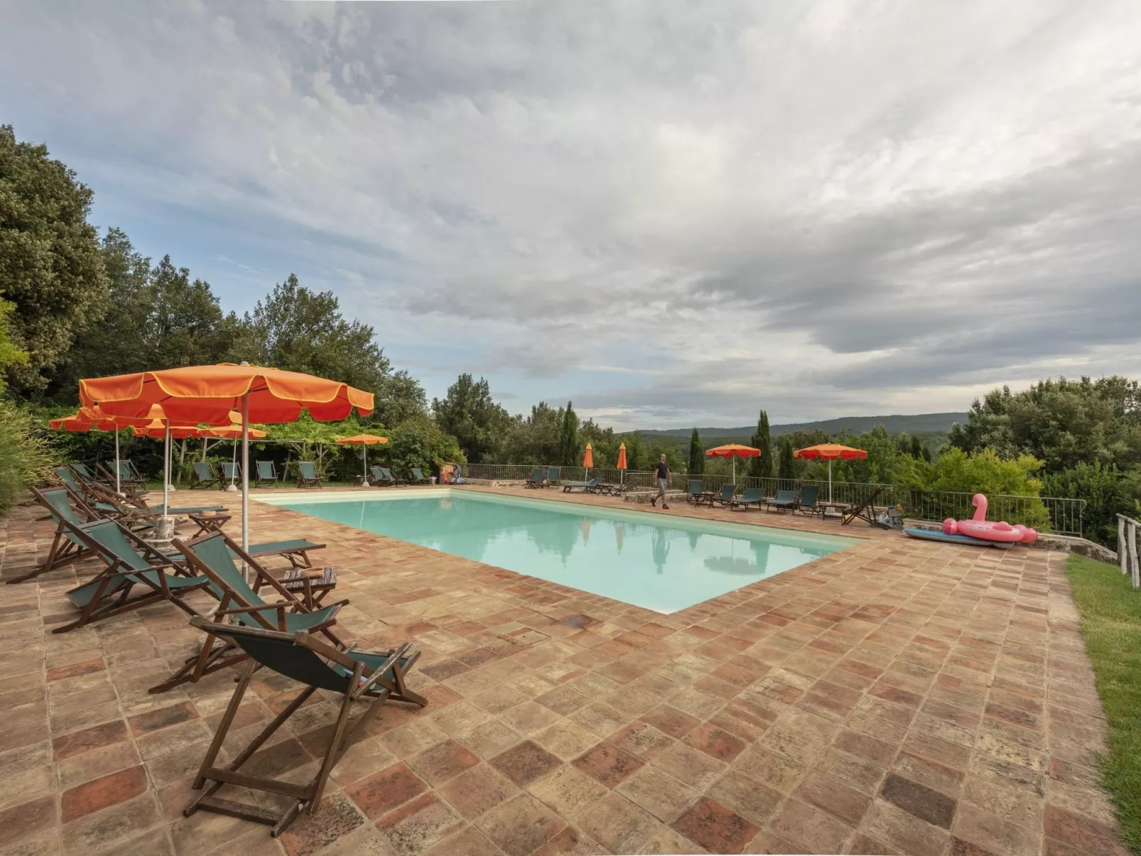 Maskendickkopf-Gimpel-Buiten