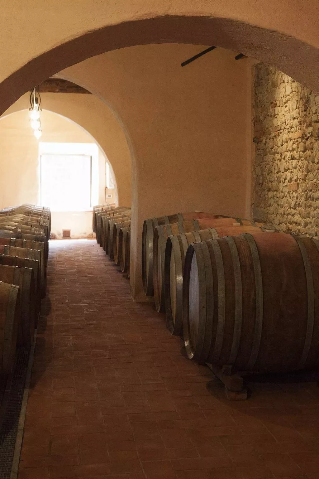 "Ciclamini capponi-Buiten