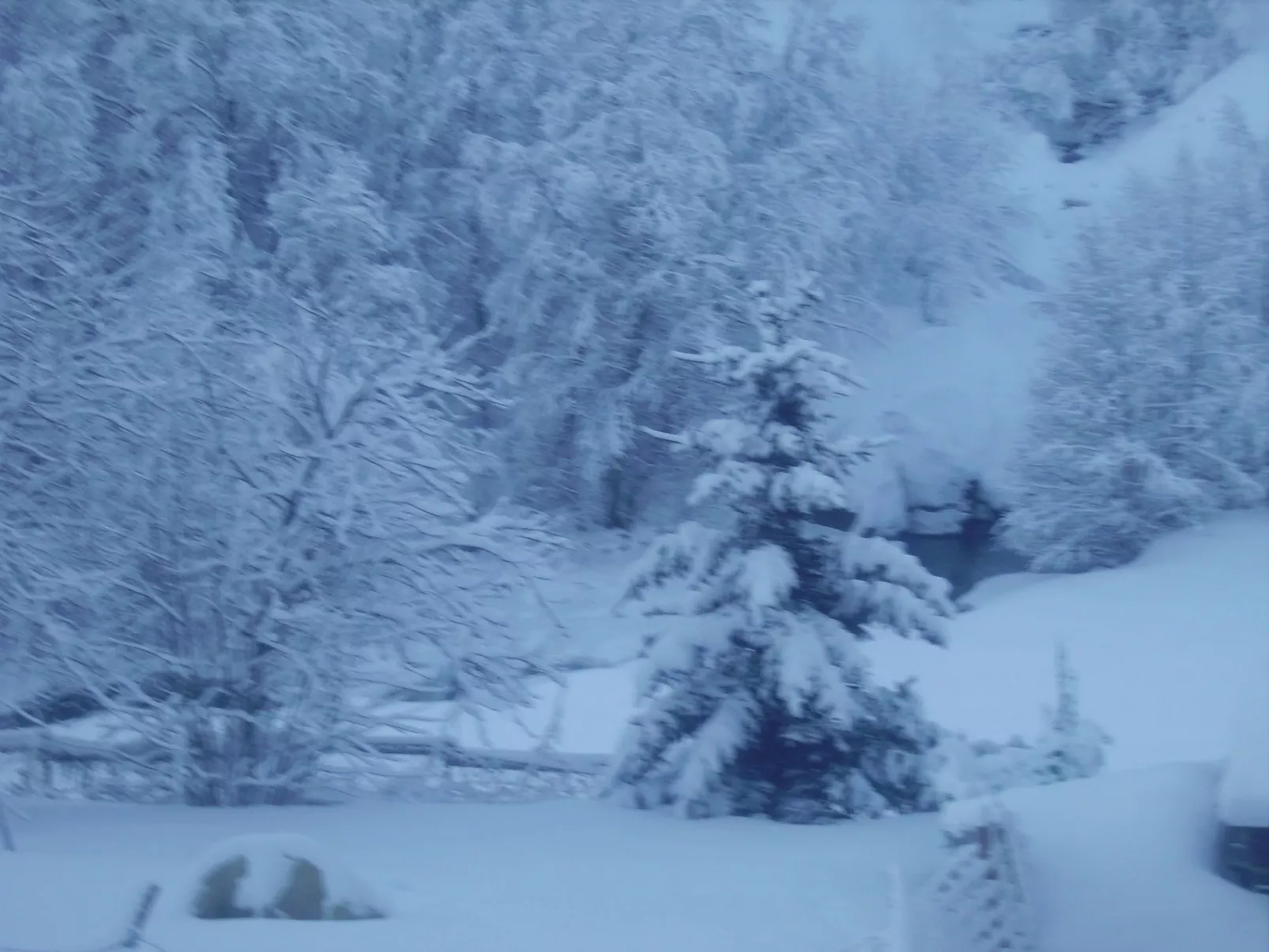 Mit Grill und gemeinsamem Pool-Image-tags.info