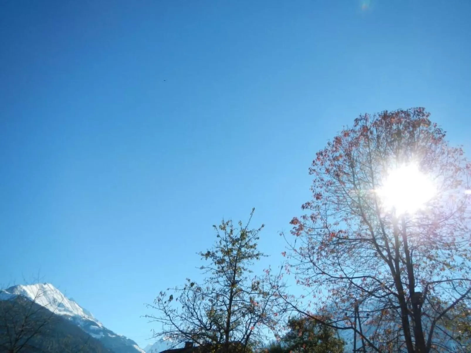 Auhäusl in Mittersill-Buiten