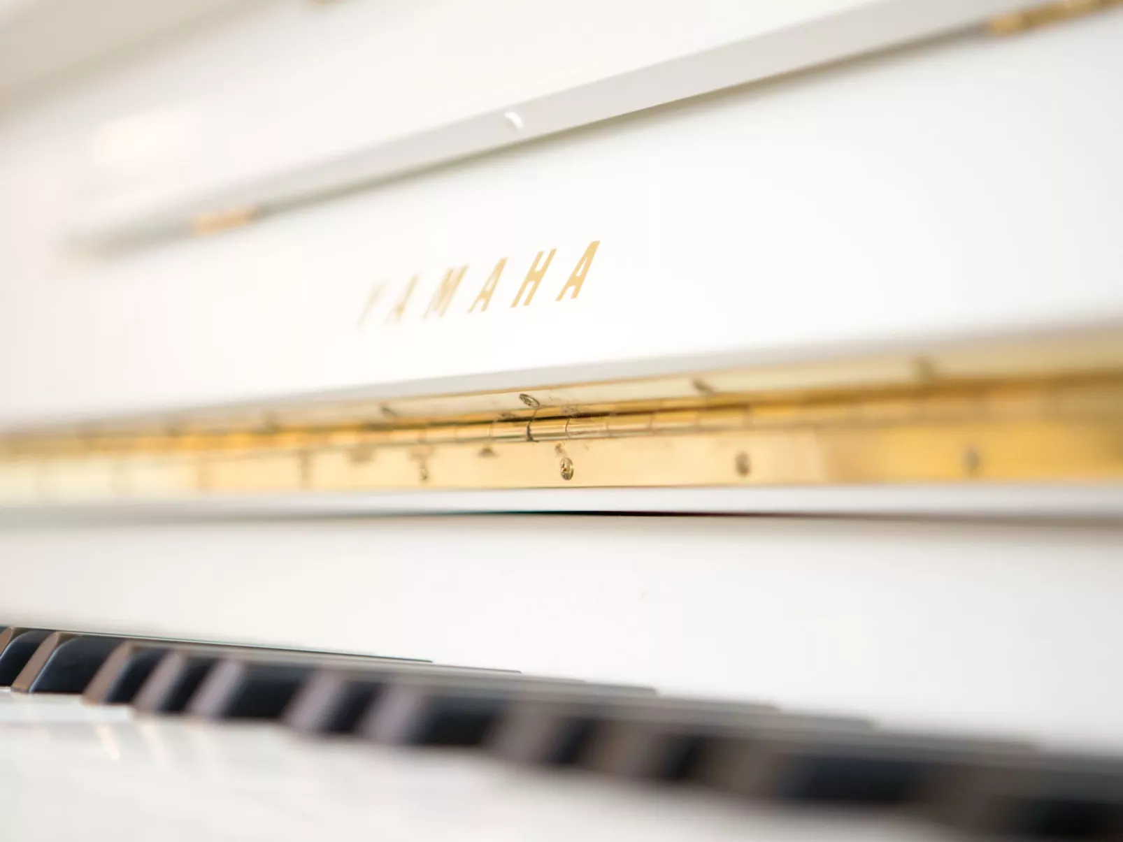 Luxuriöse Ferienvilla für 8 Personen-Buiten