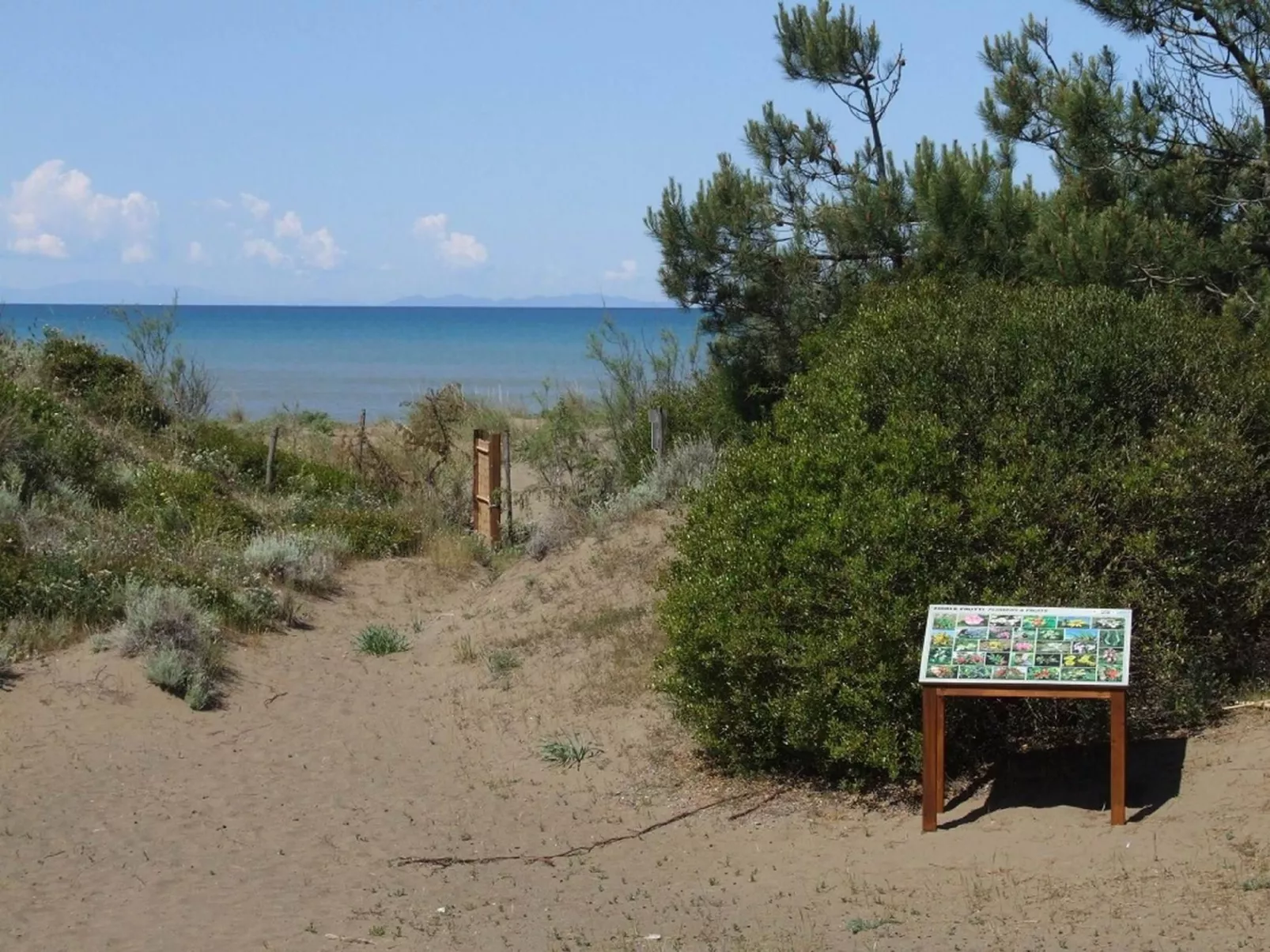 Ein-Zimmer-Wohnung 'Murex' in Strandnähe-Buiten