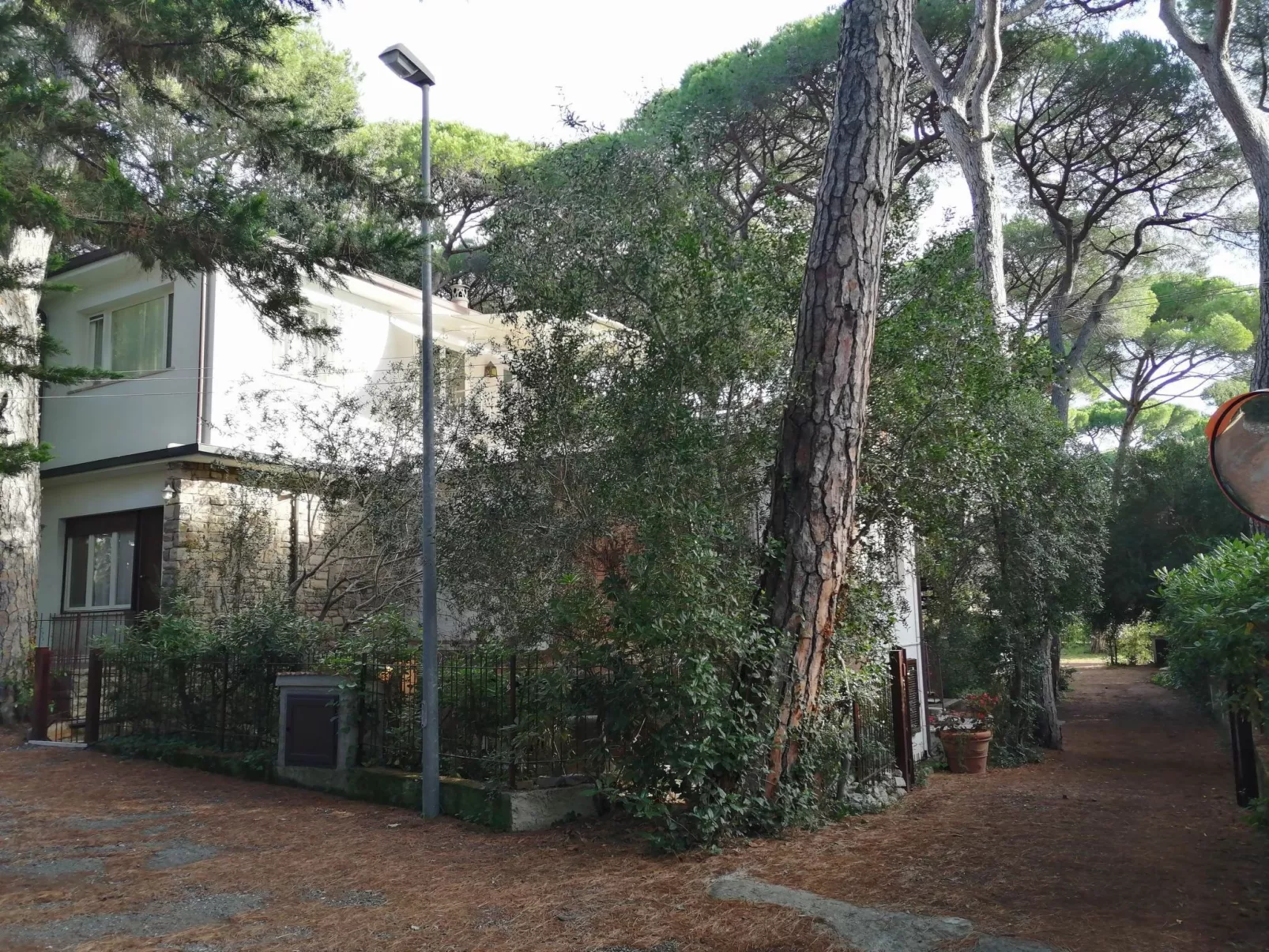 'Camelia' mit Terrasse-Buiten